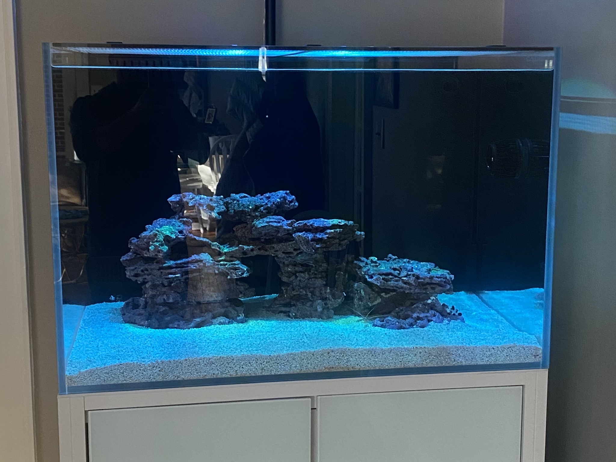 Tank Image