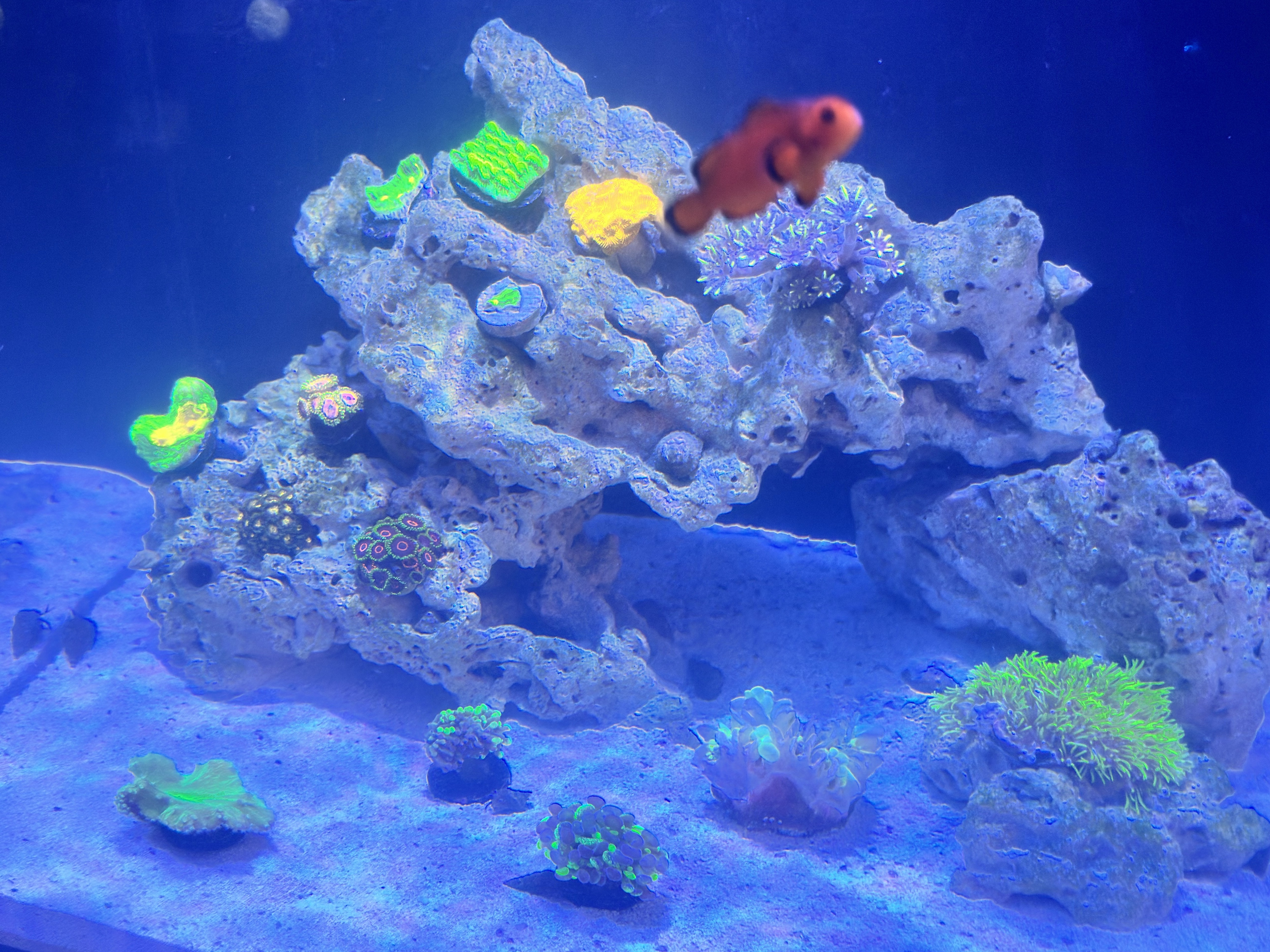 Tank Image