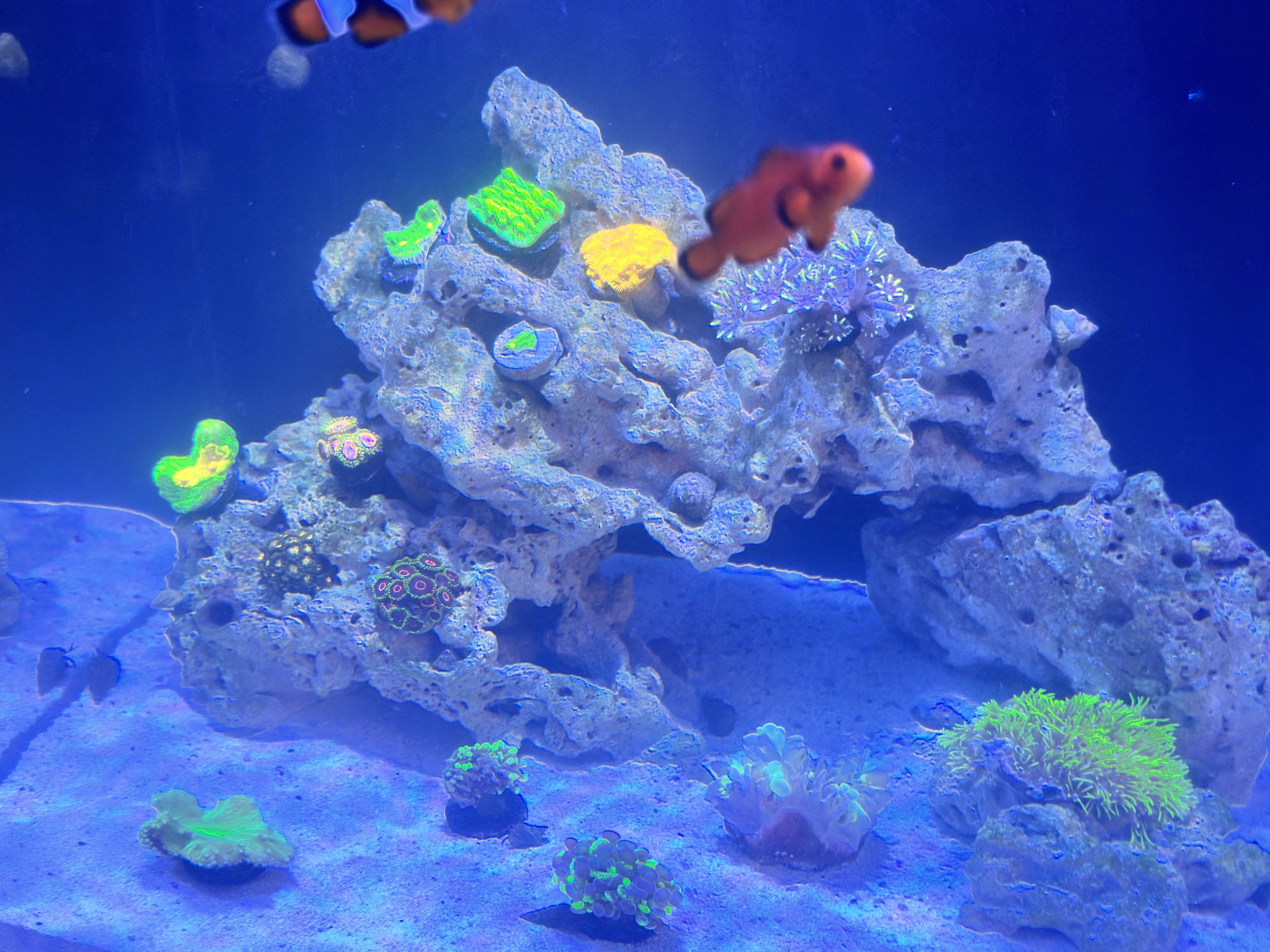 Tank Image
