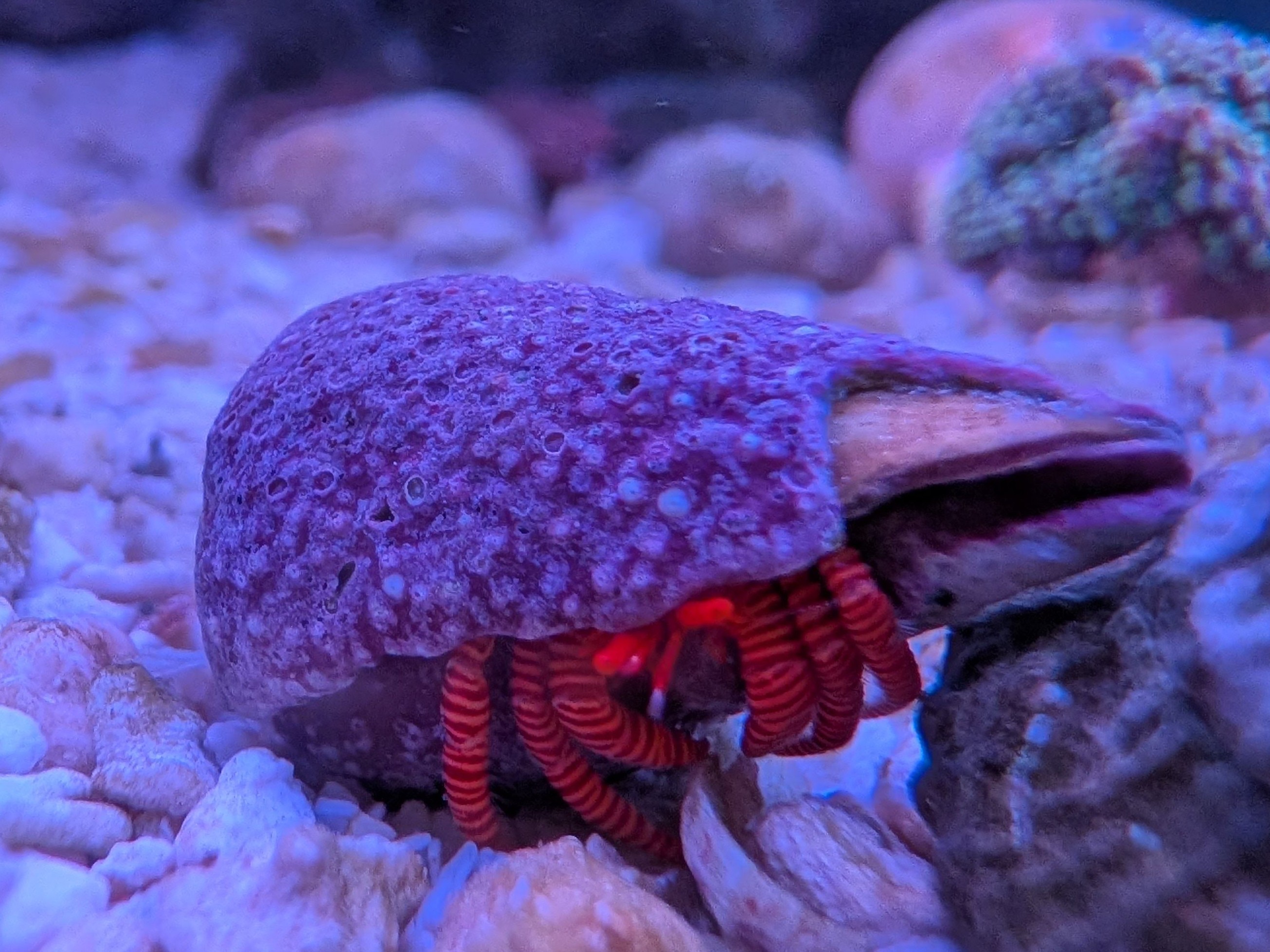 Tank Image
