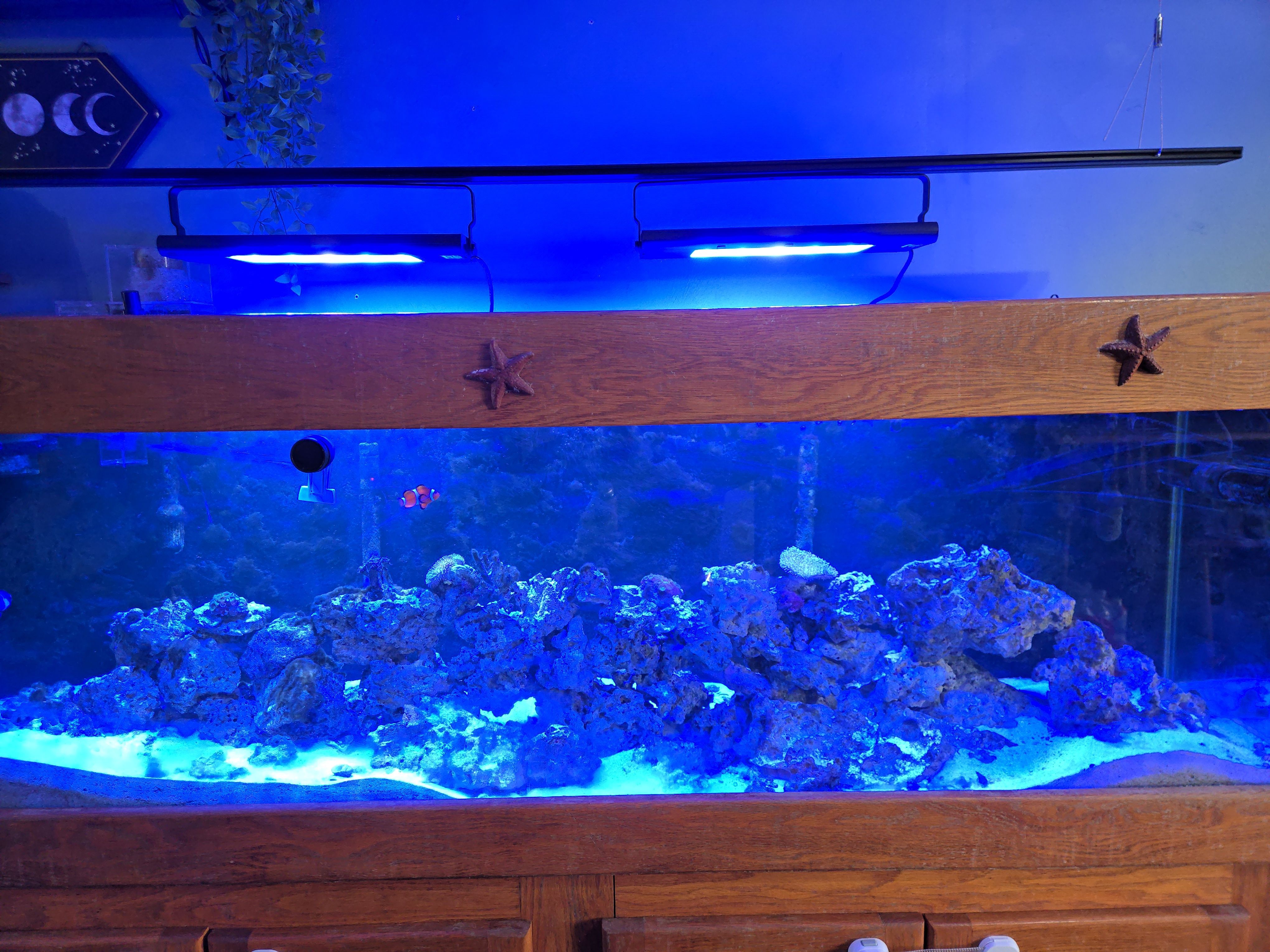 Tank Image