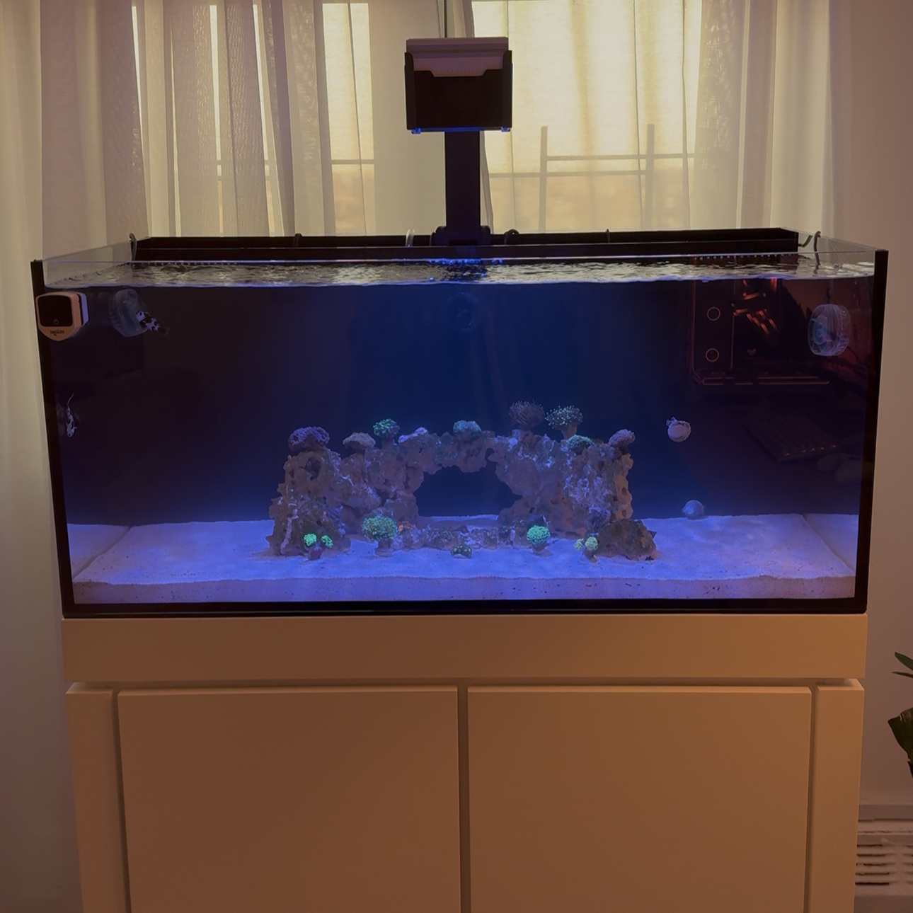 Tank Image