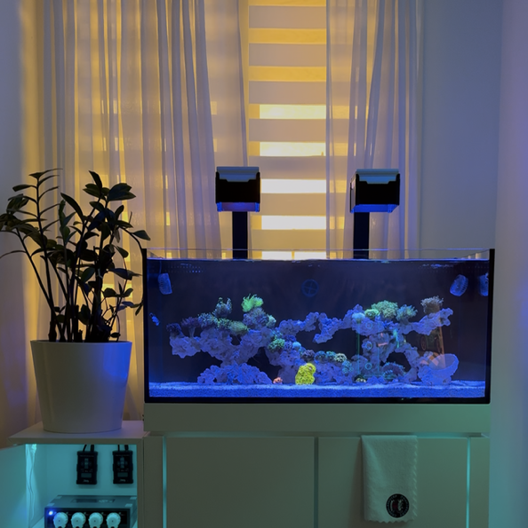 Tank Image