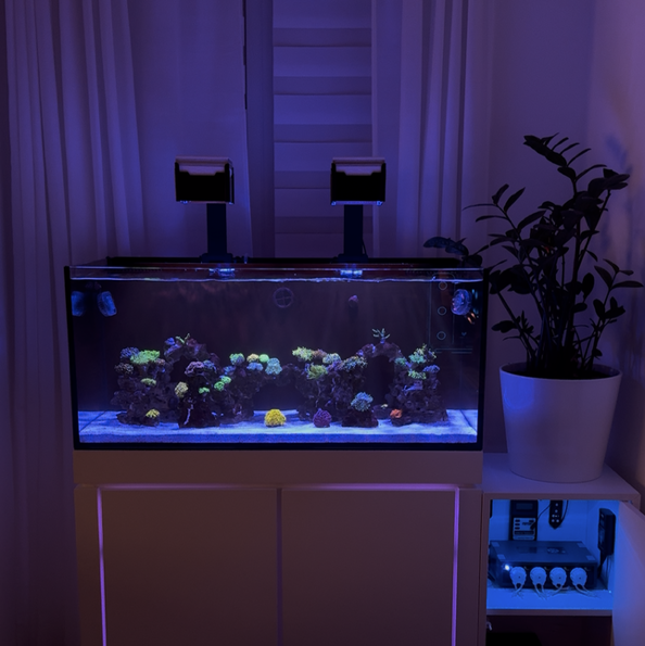 Tank Image