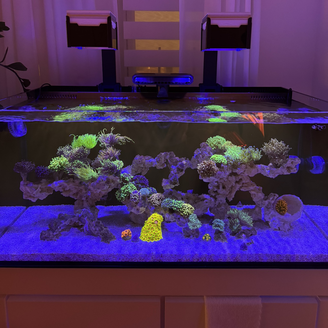 Tank Image