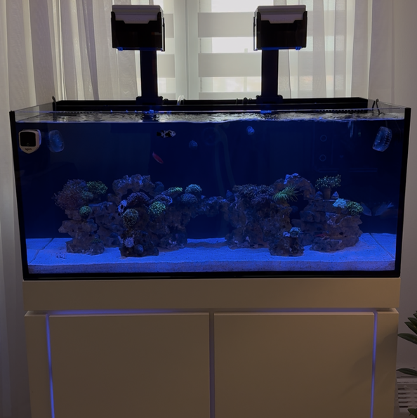 Tank Image