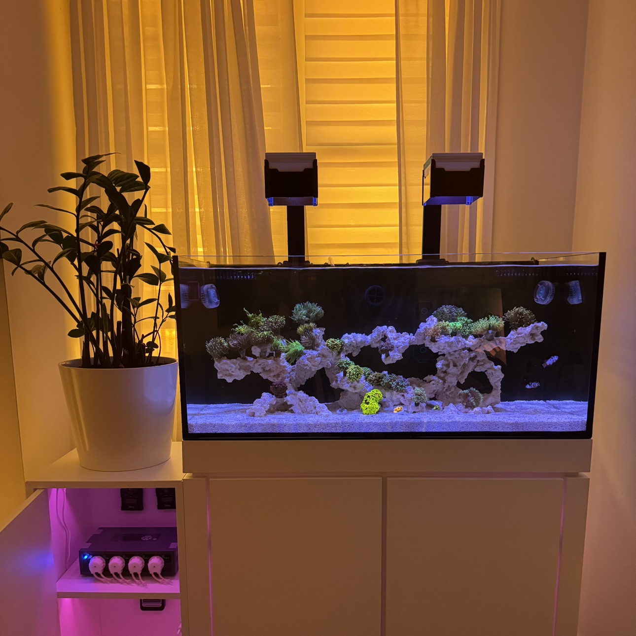 Tank Image