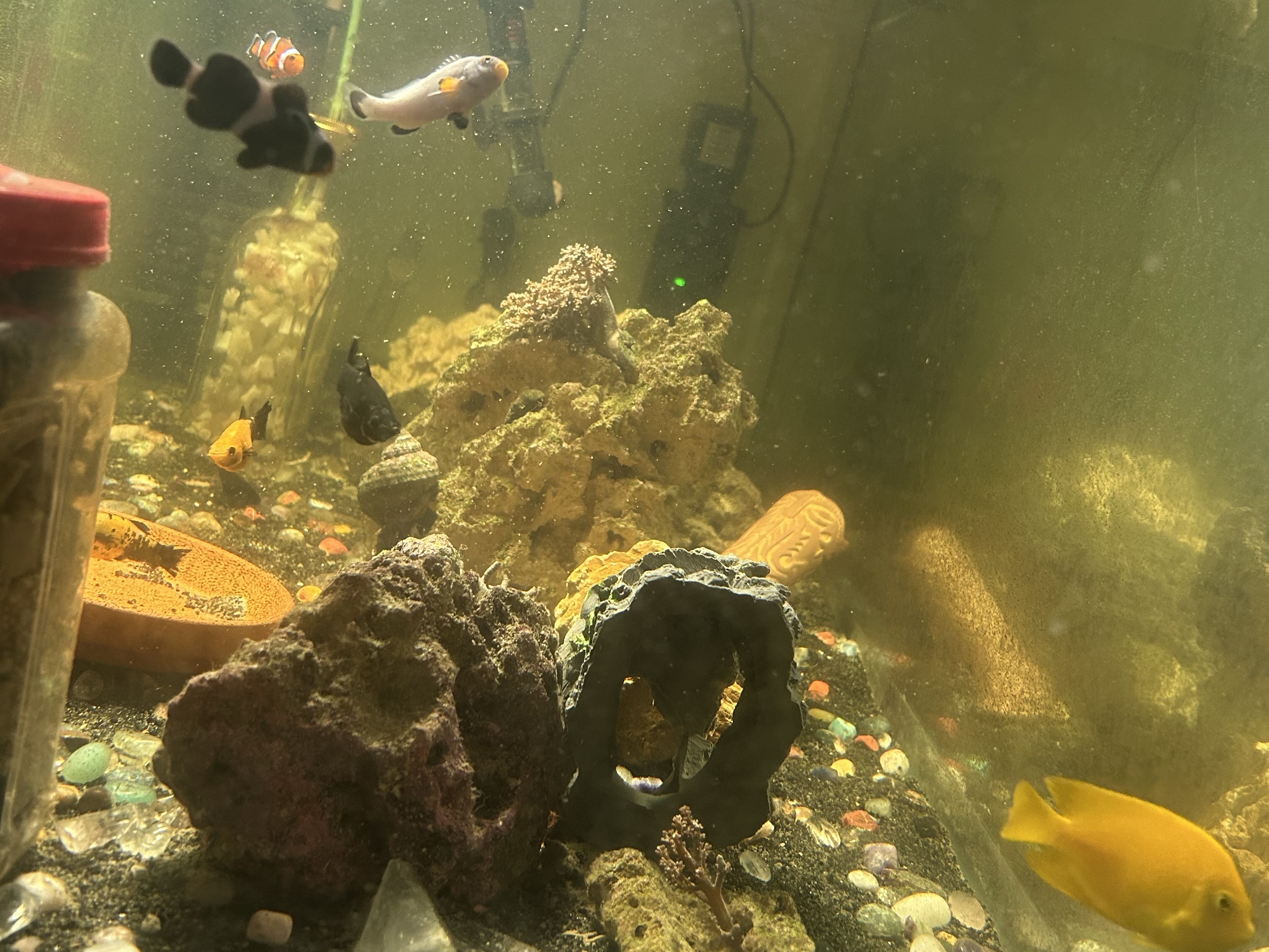 Tank Image