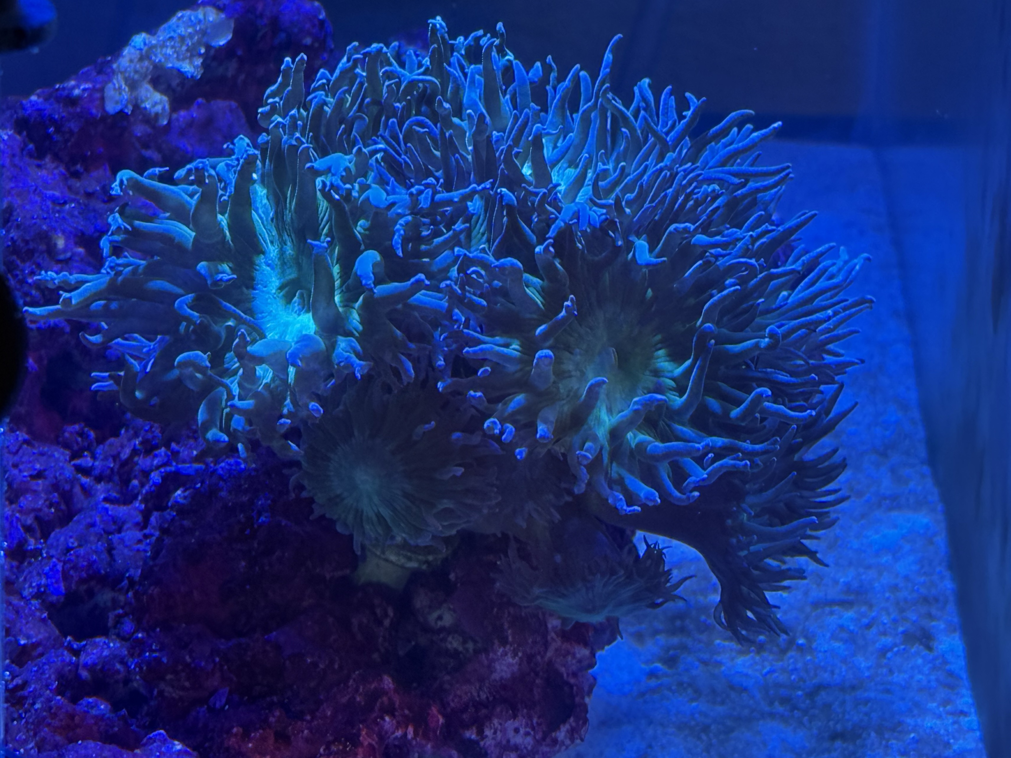 Tank Image
