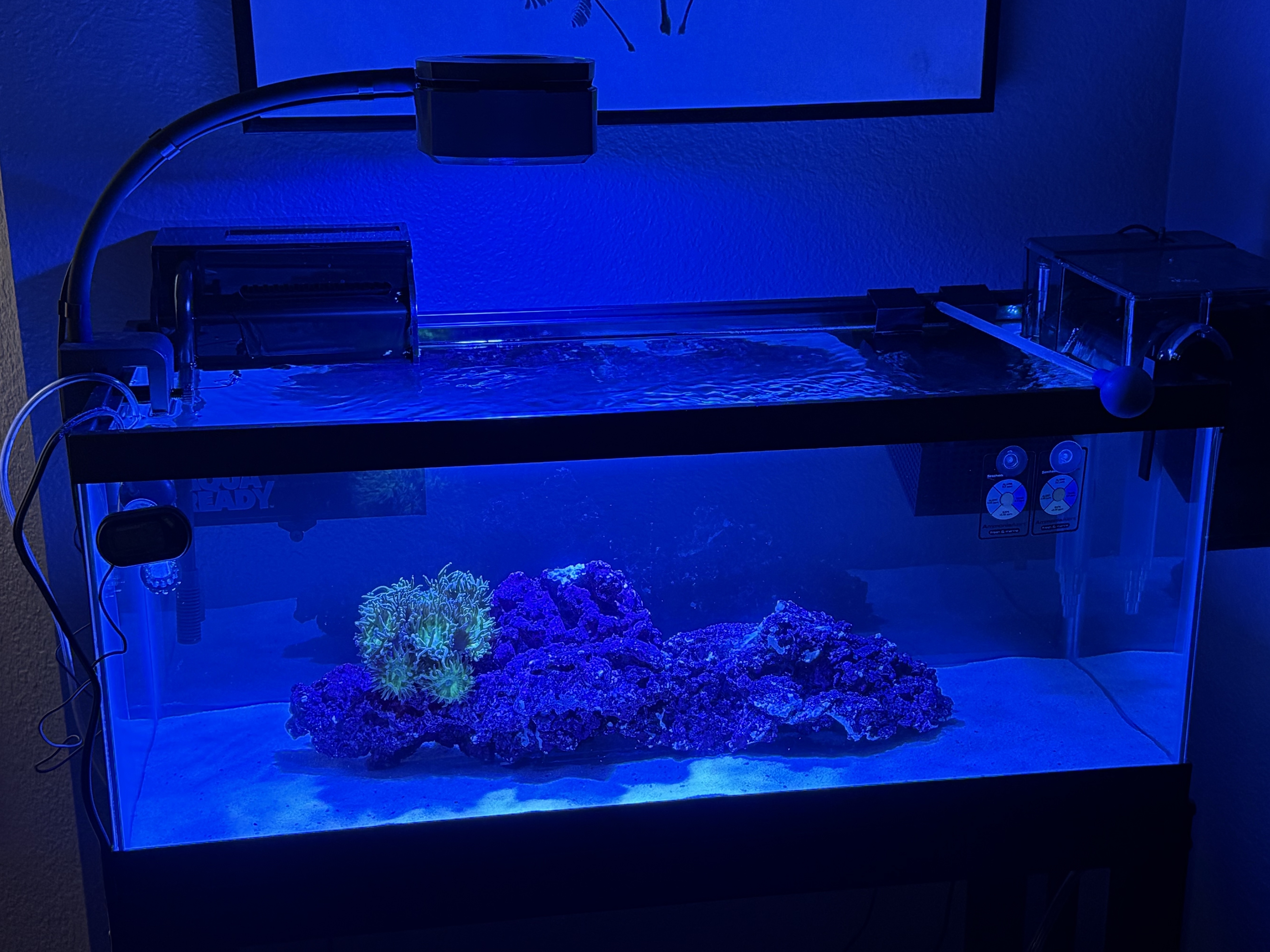 Tank Image