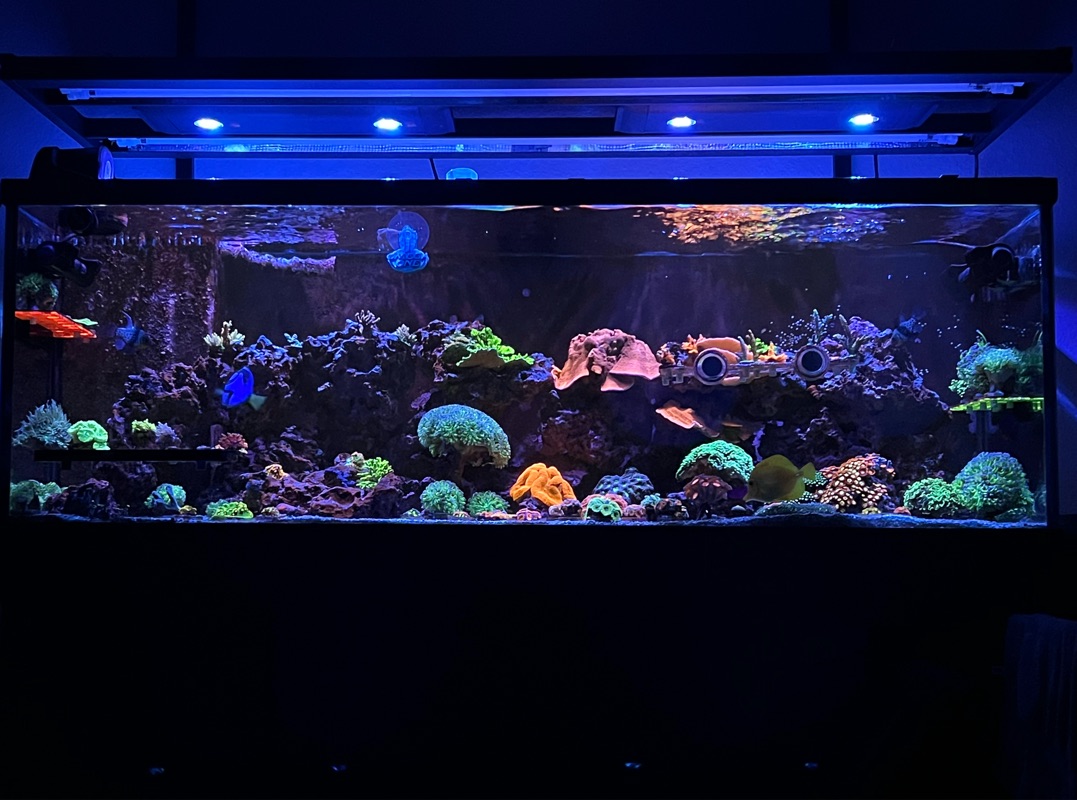 Tank Image