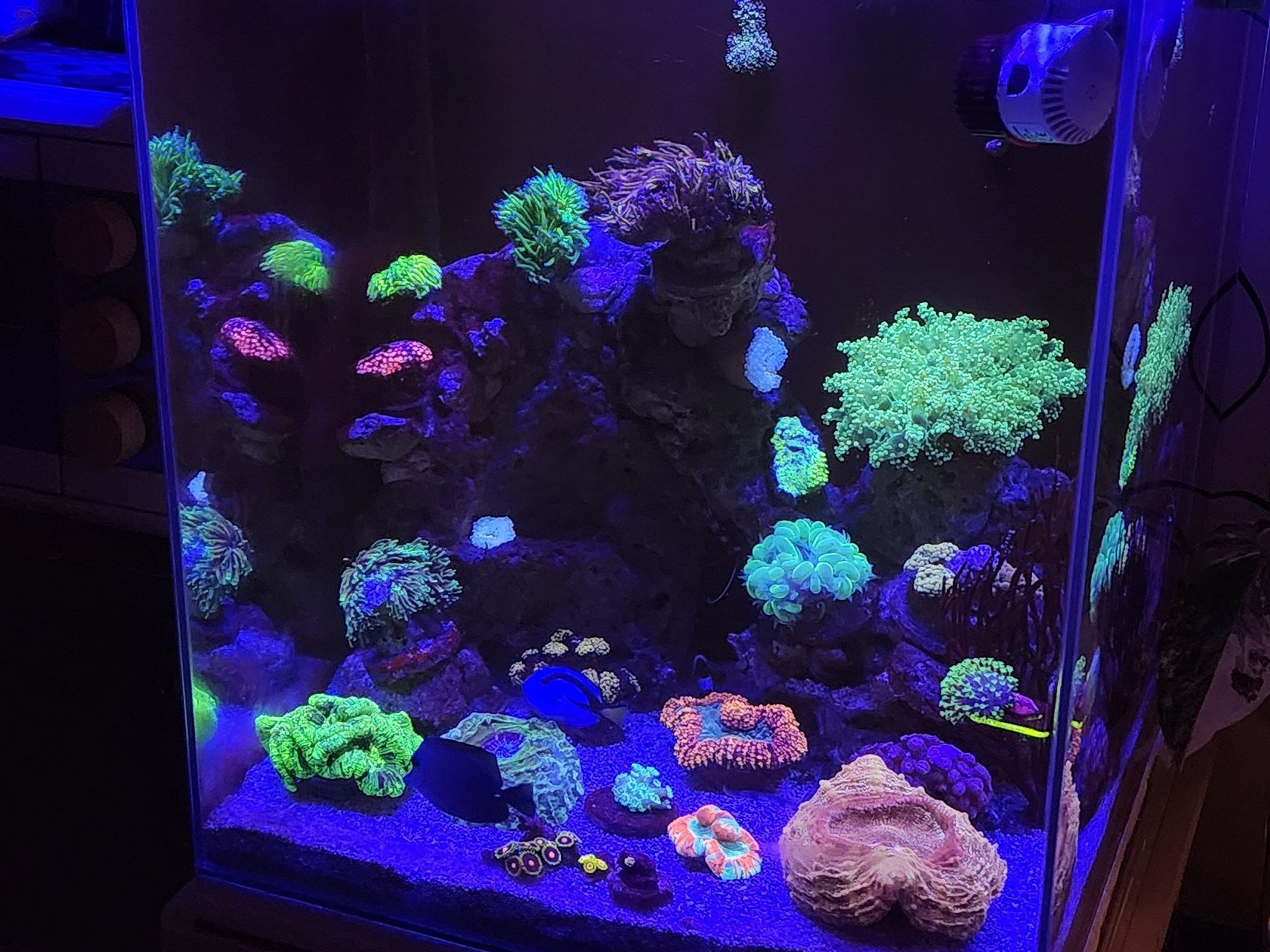Tank Image