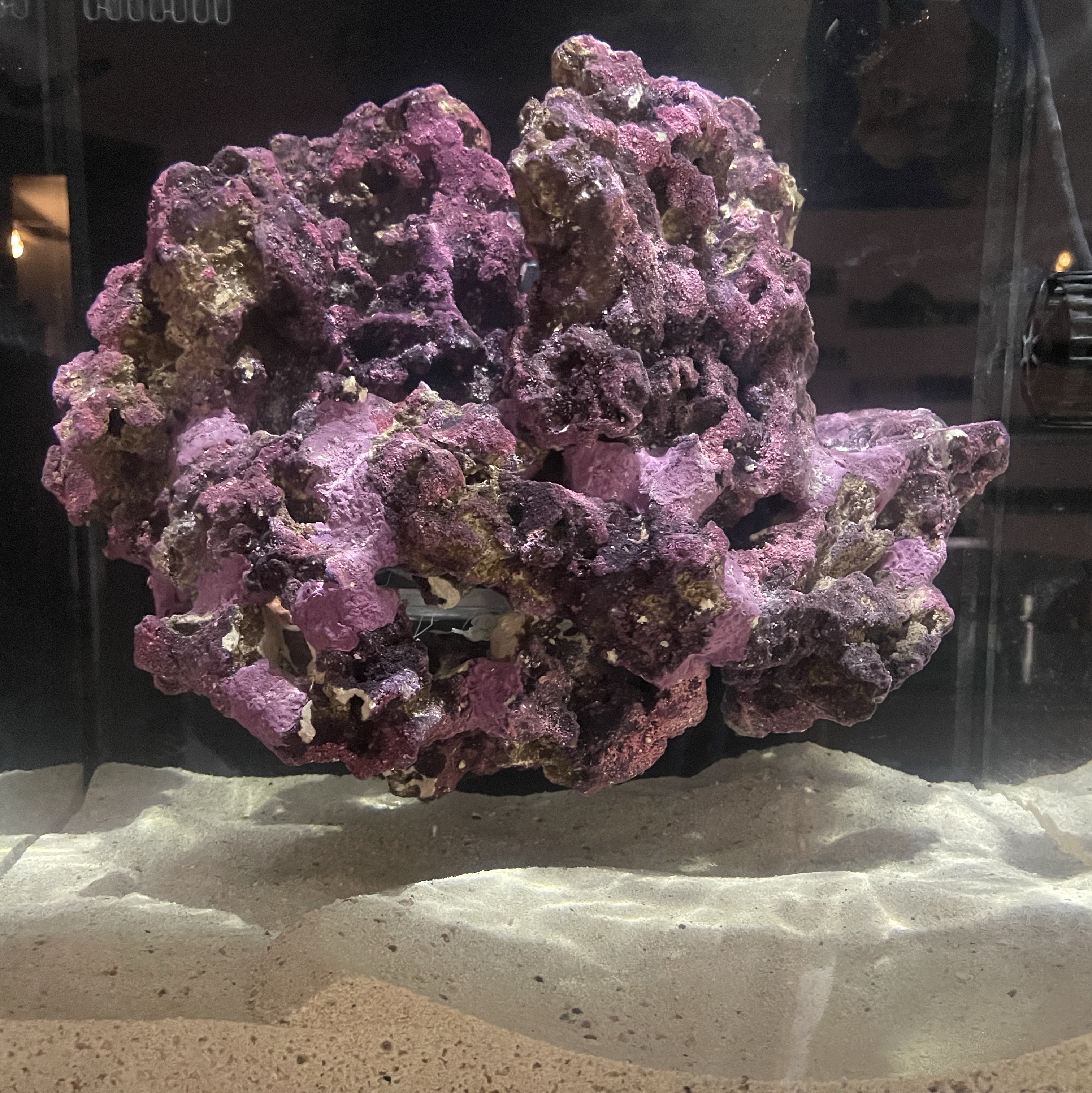 Tank Image