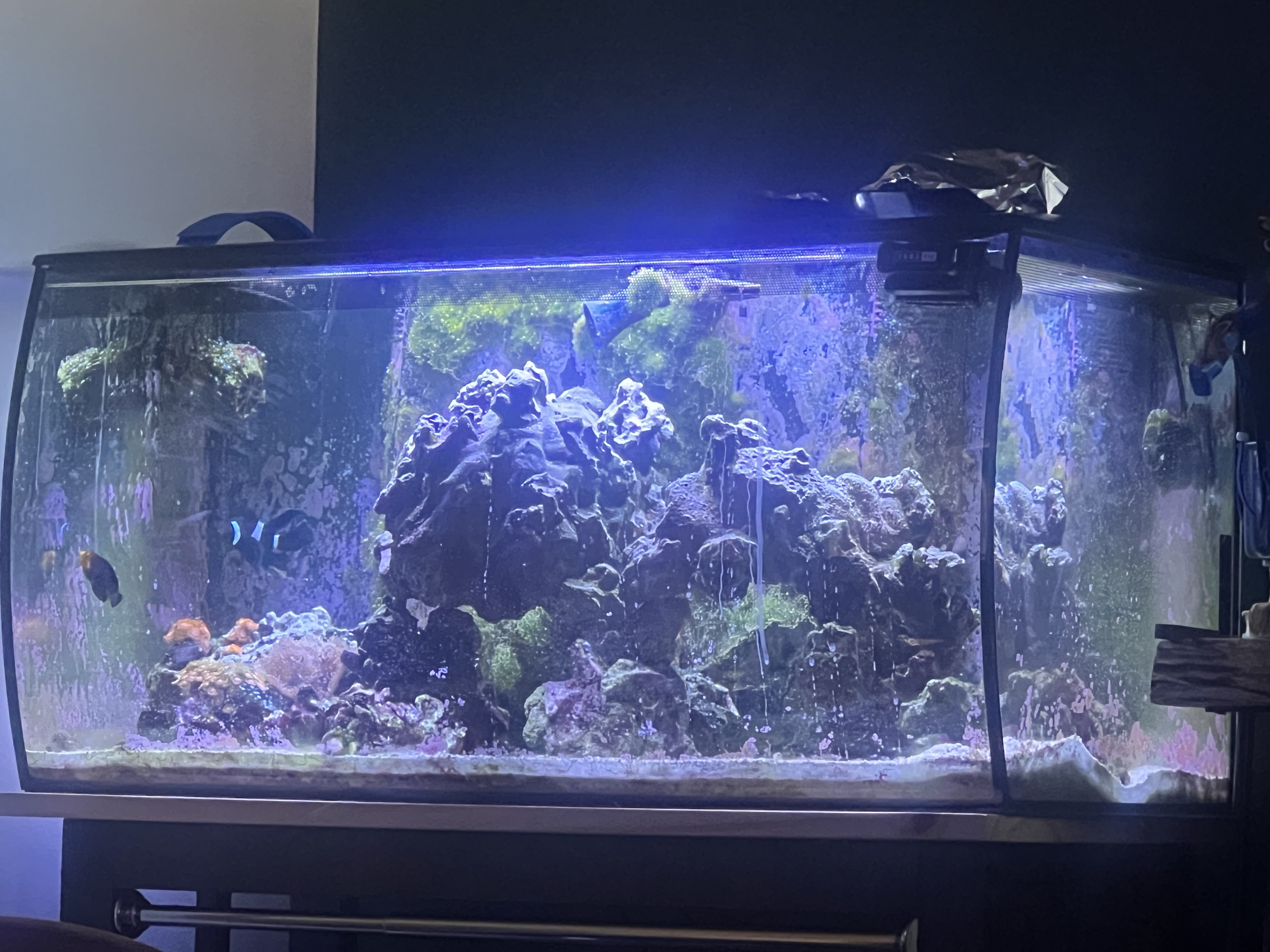 Tank Image