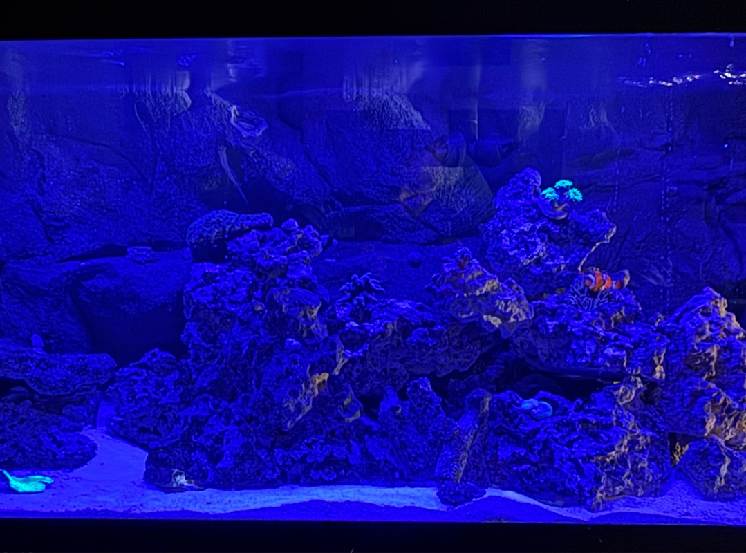 Tank Image