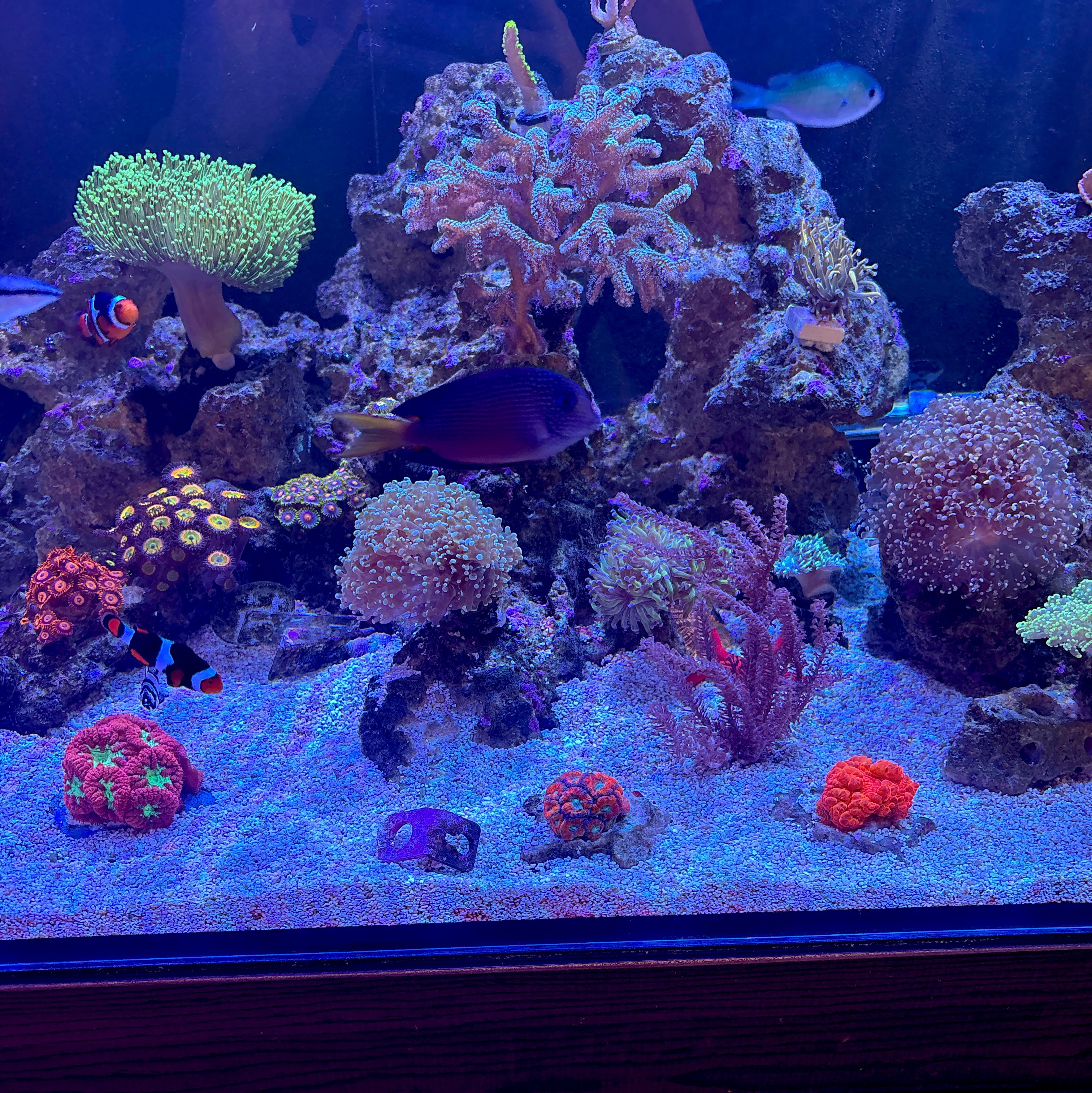 Tank Image