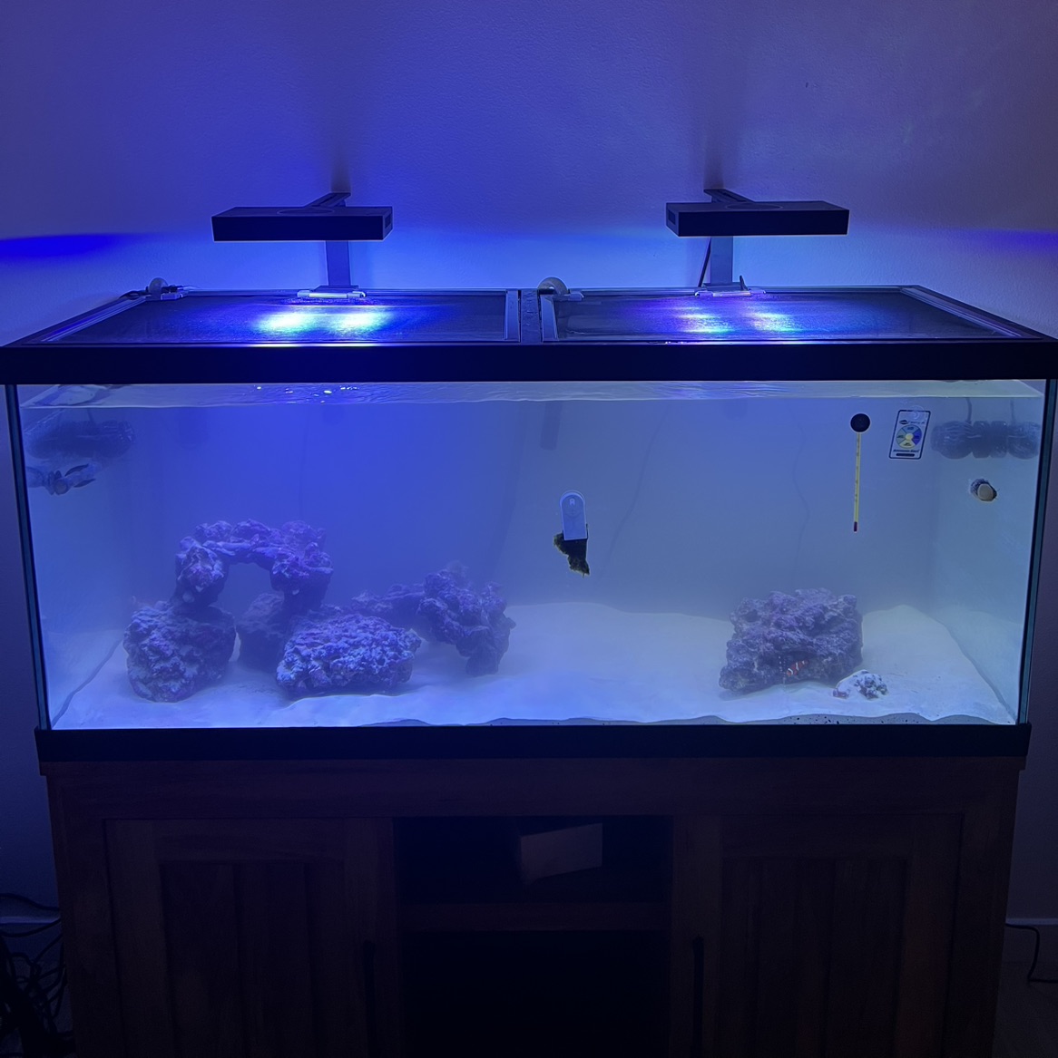 Tank Image