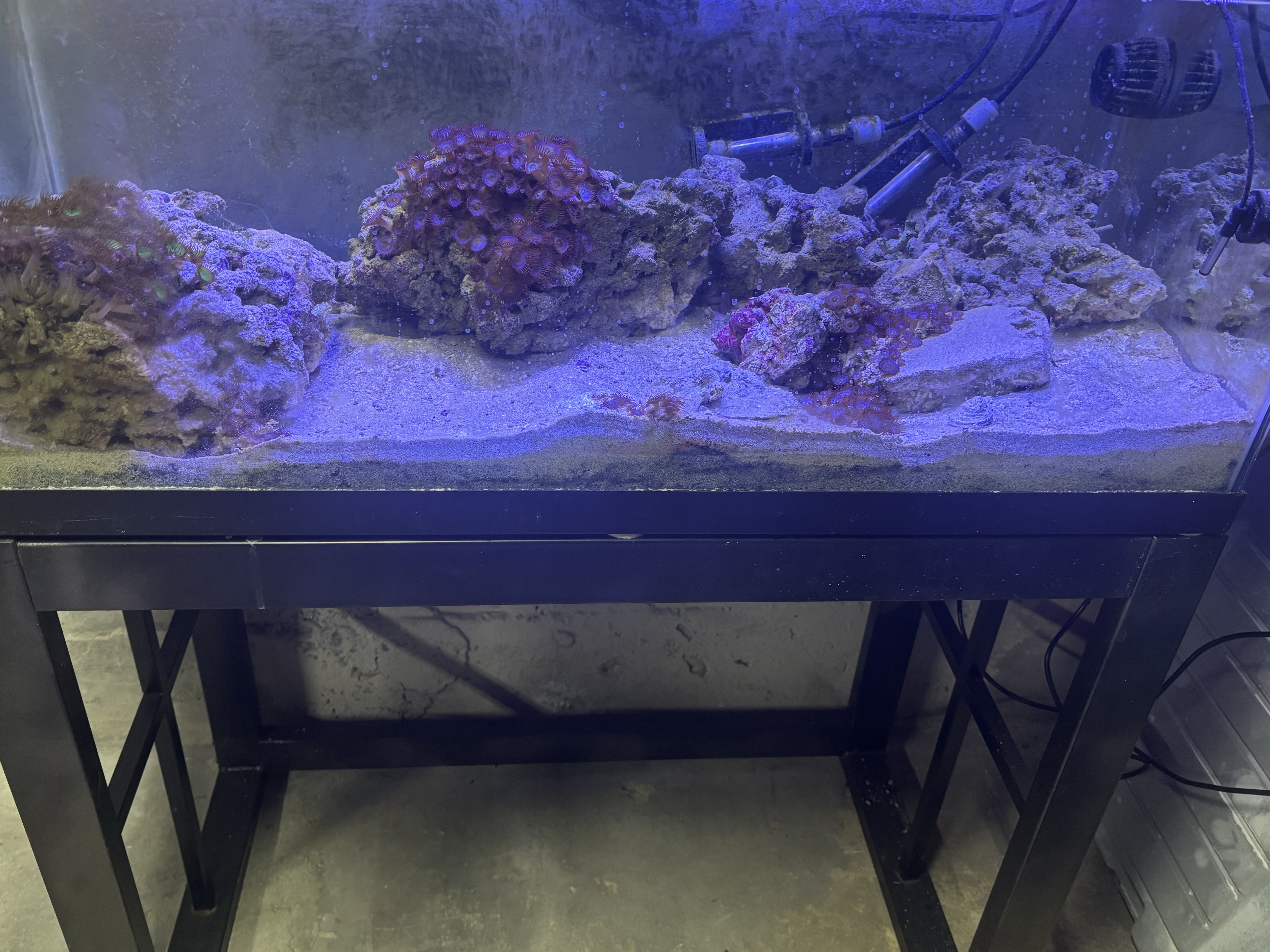 Tank Image