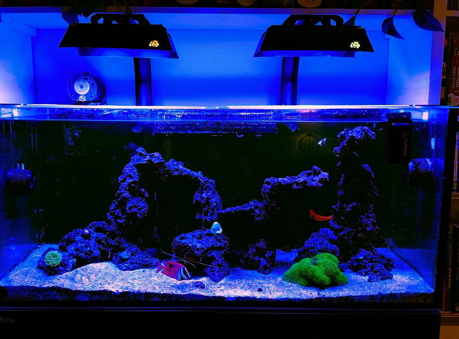 Tank Image