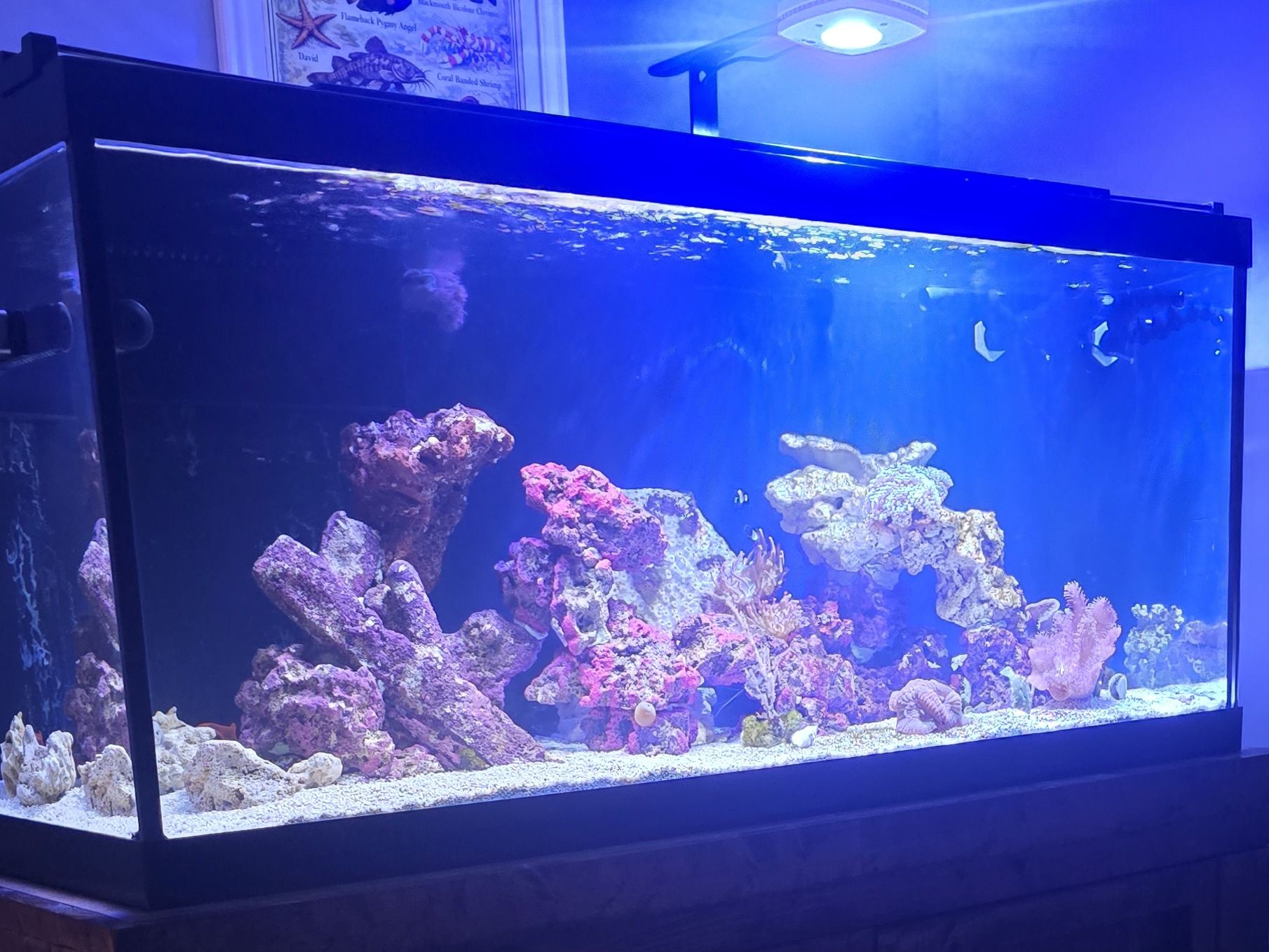 Tank Image