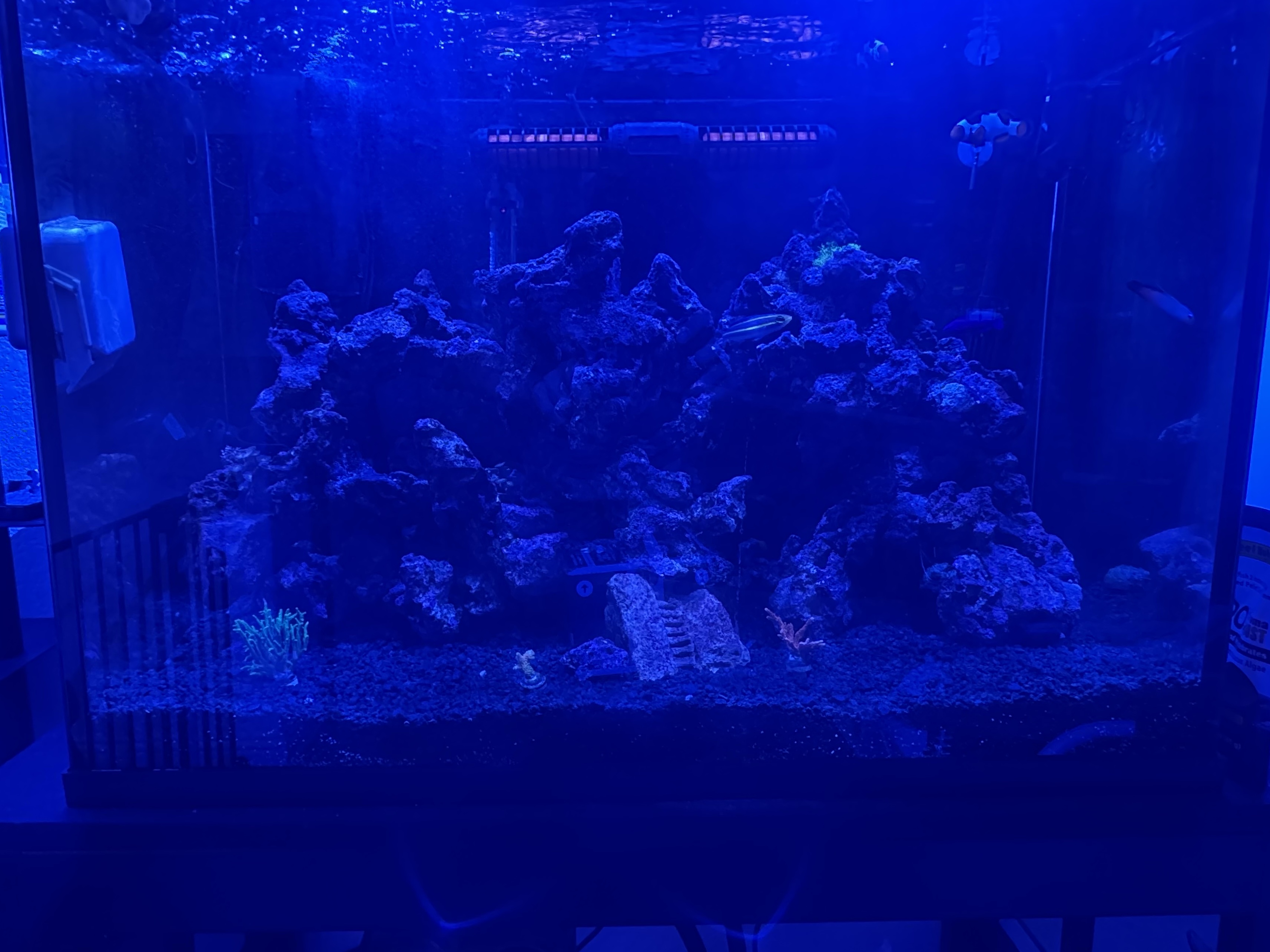 Tank Image
