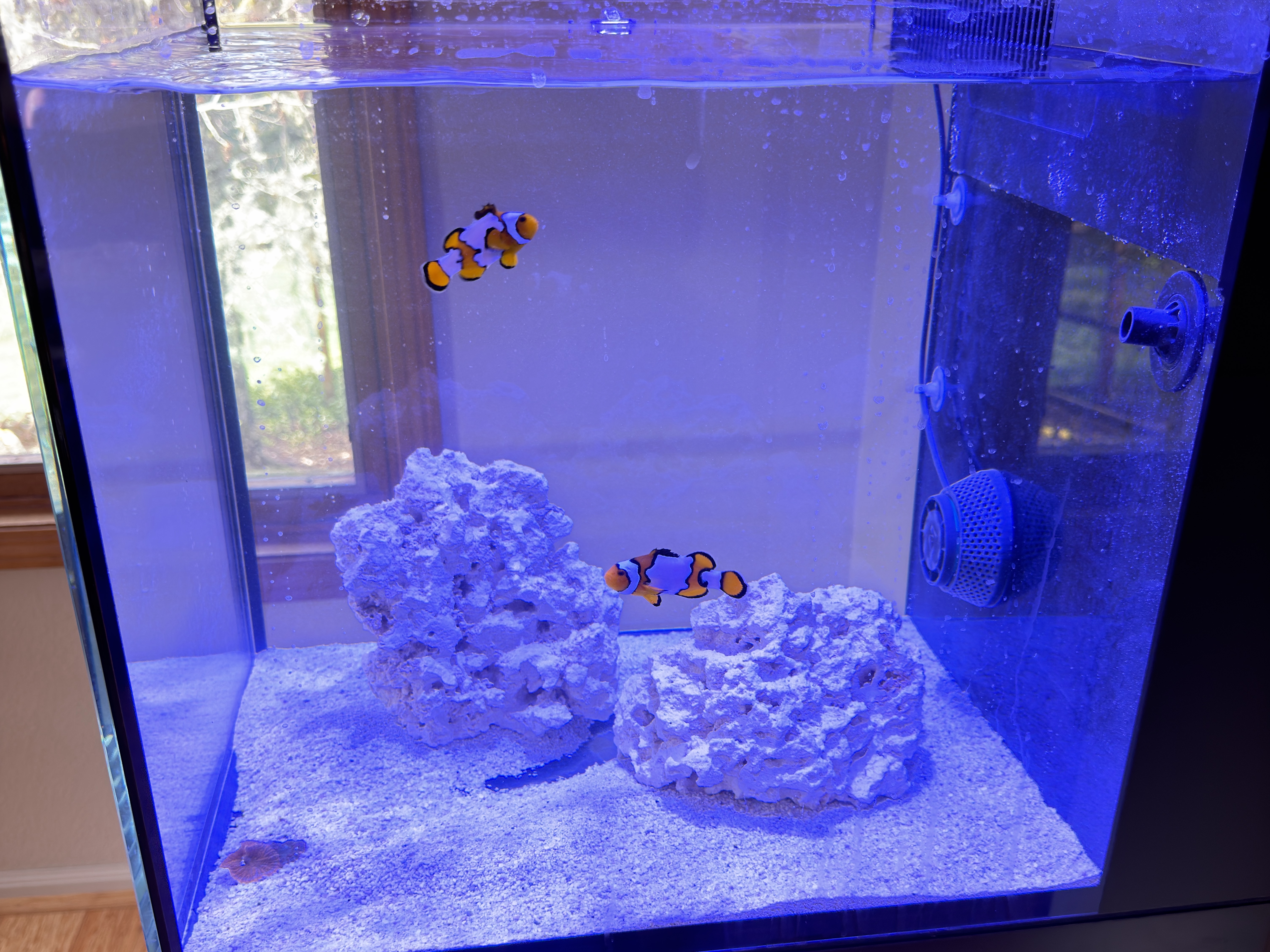 Tank Image