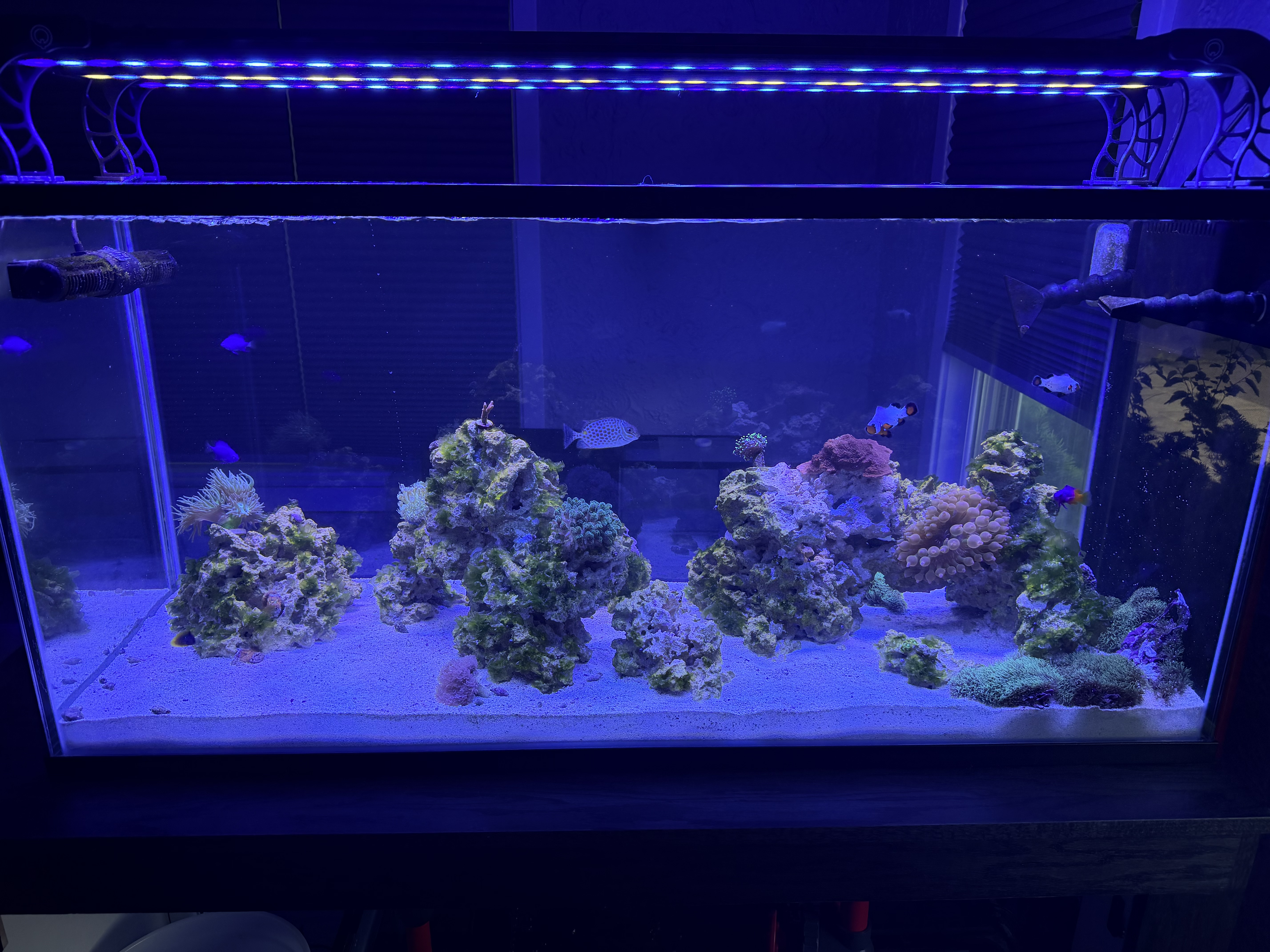 Tank Image