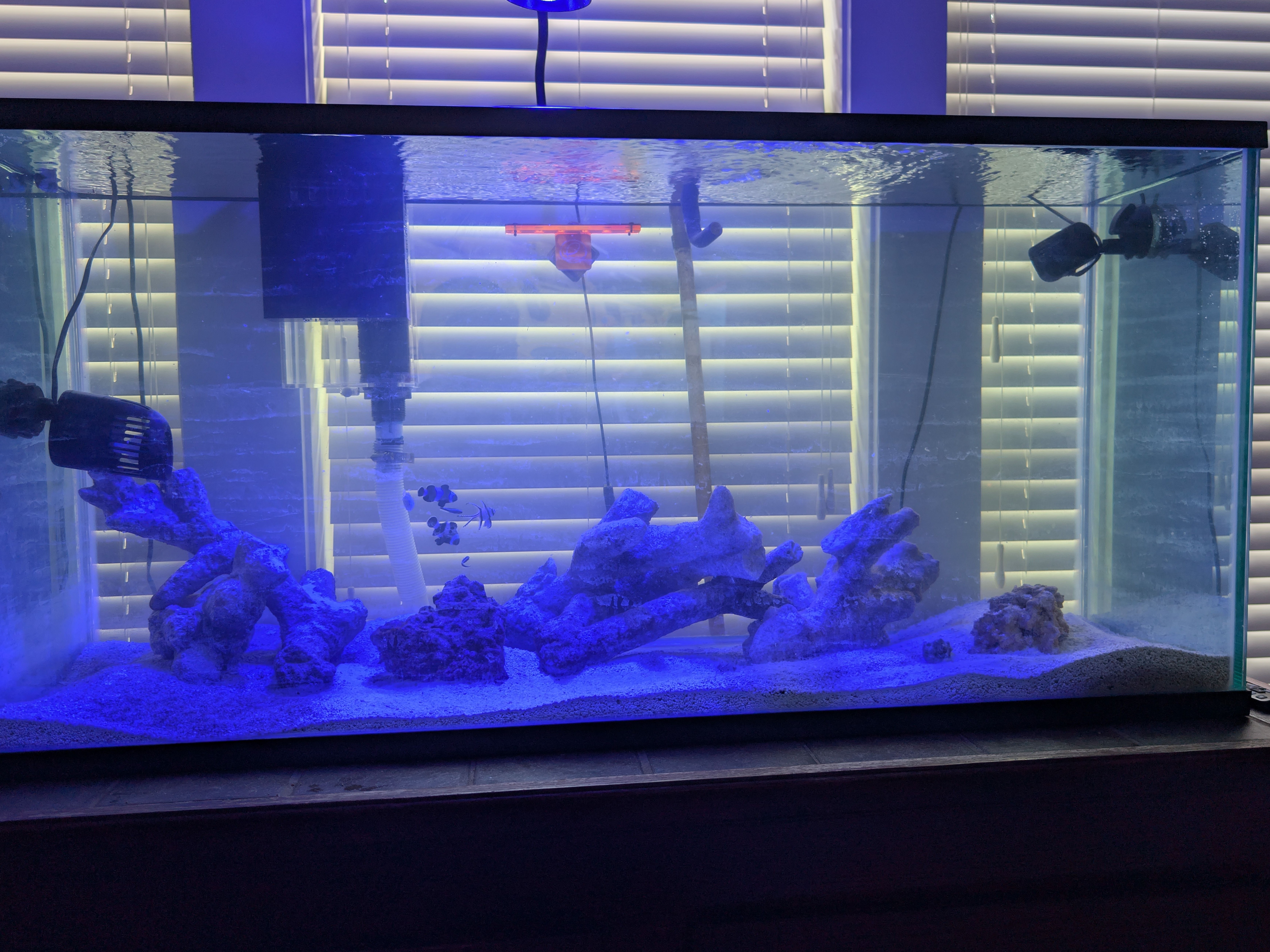 Tank Image