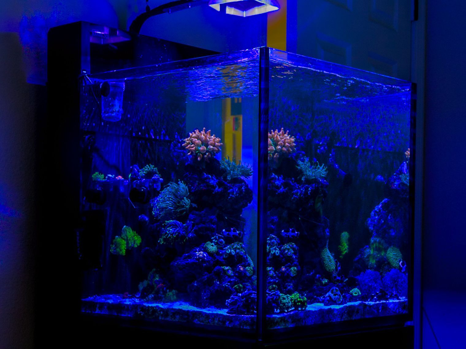 Tank Image