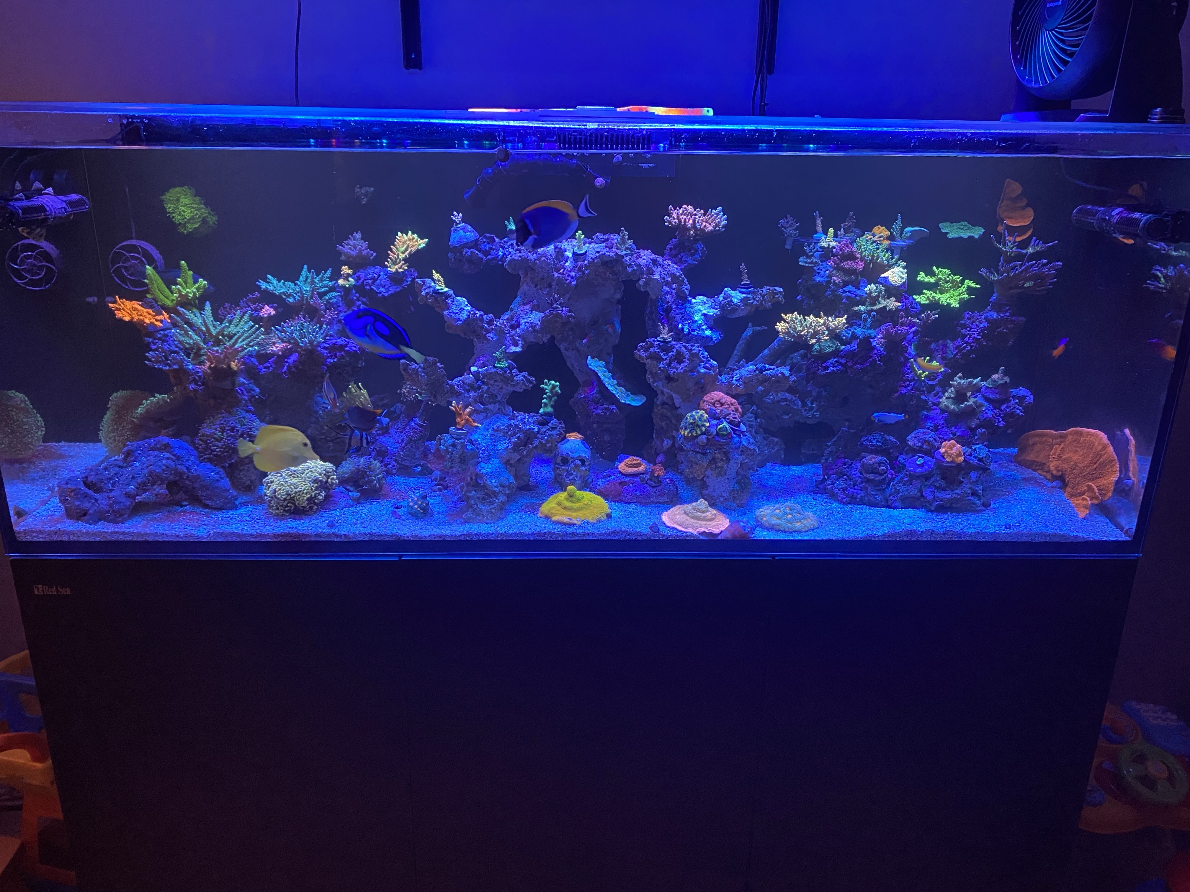 Tank Image