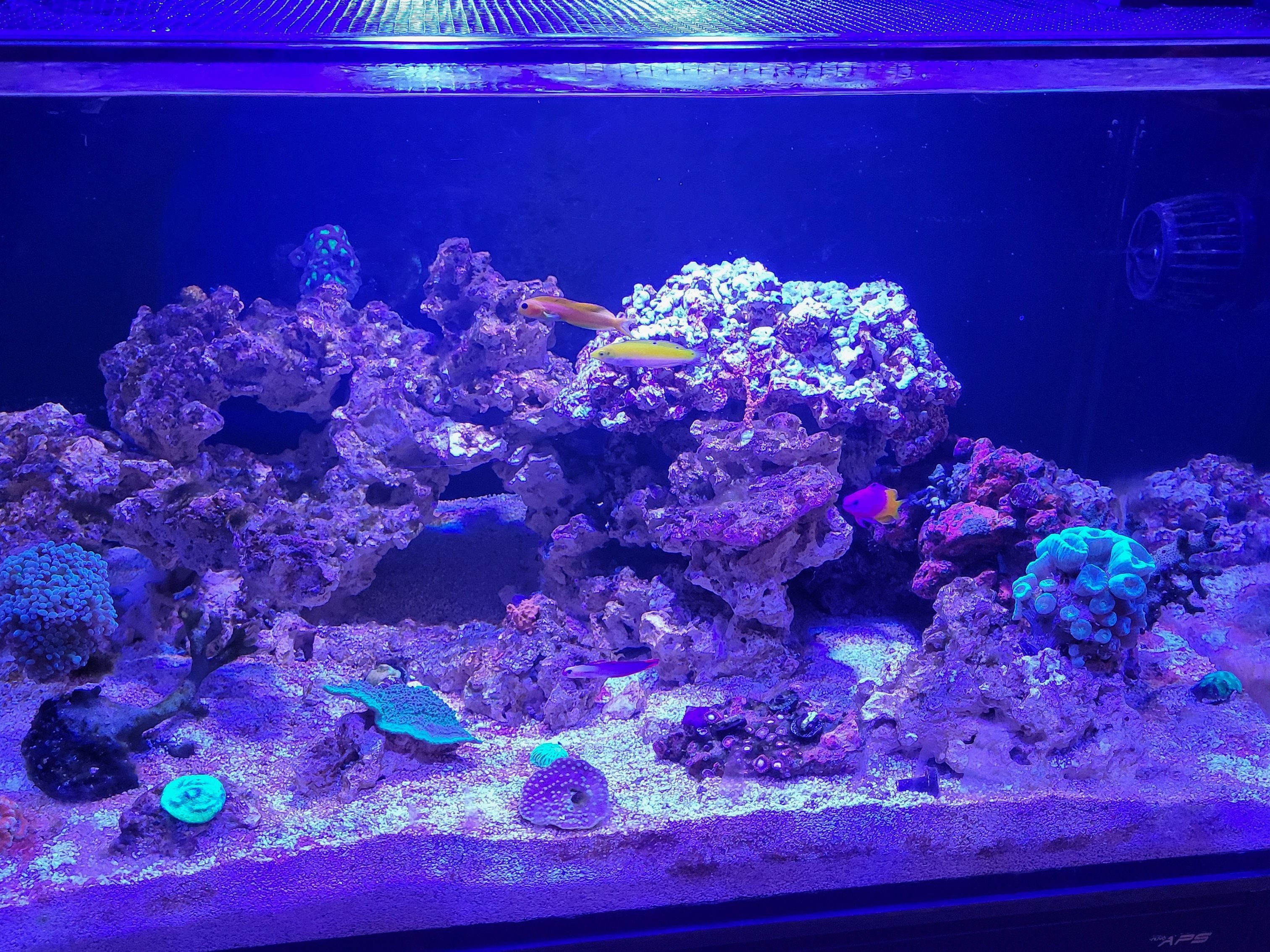 Tank Image