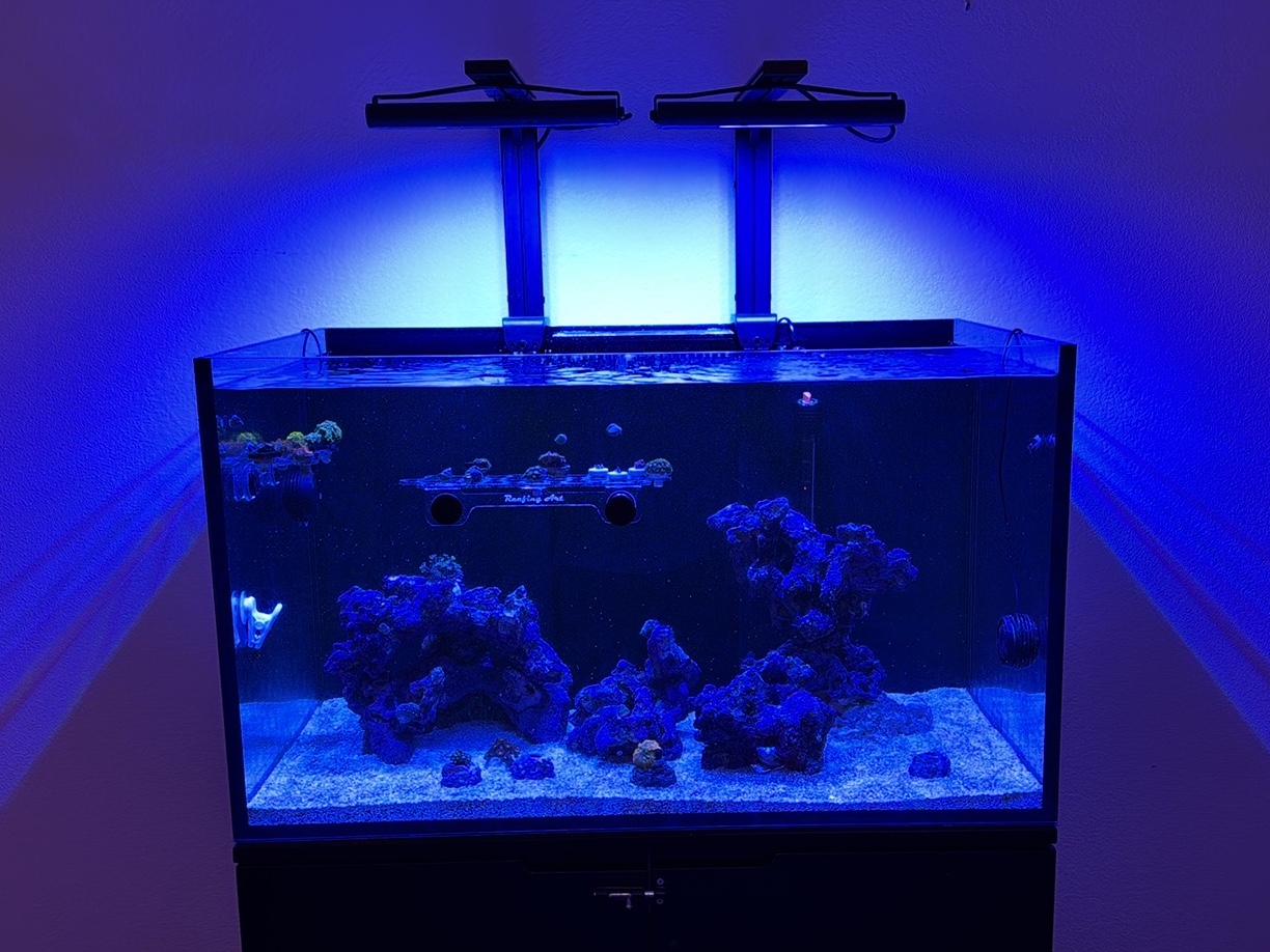 Tank Image