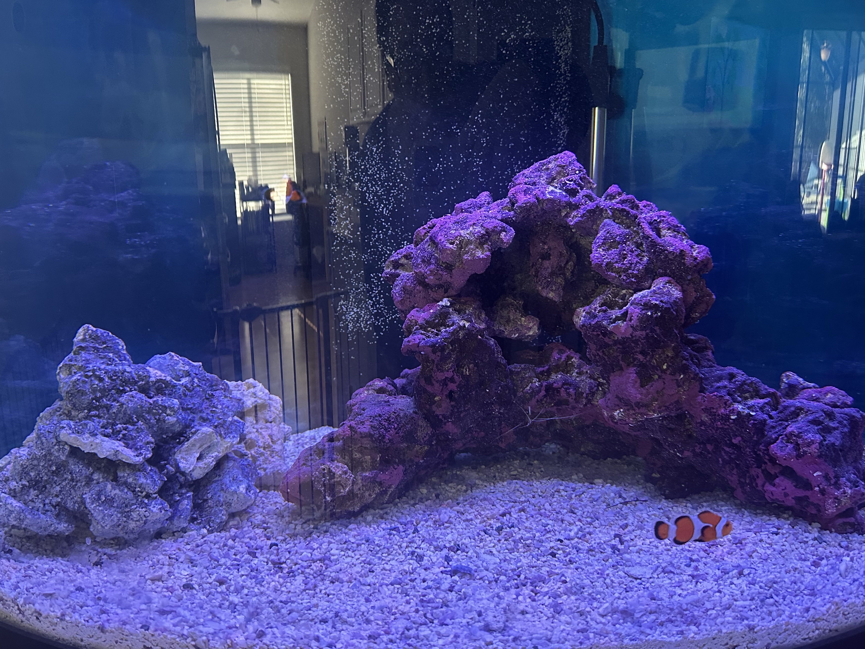 Tank Image