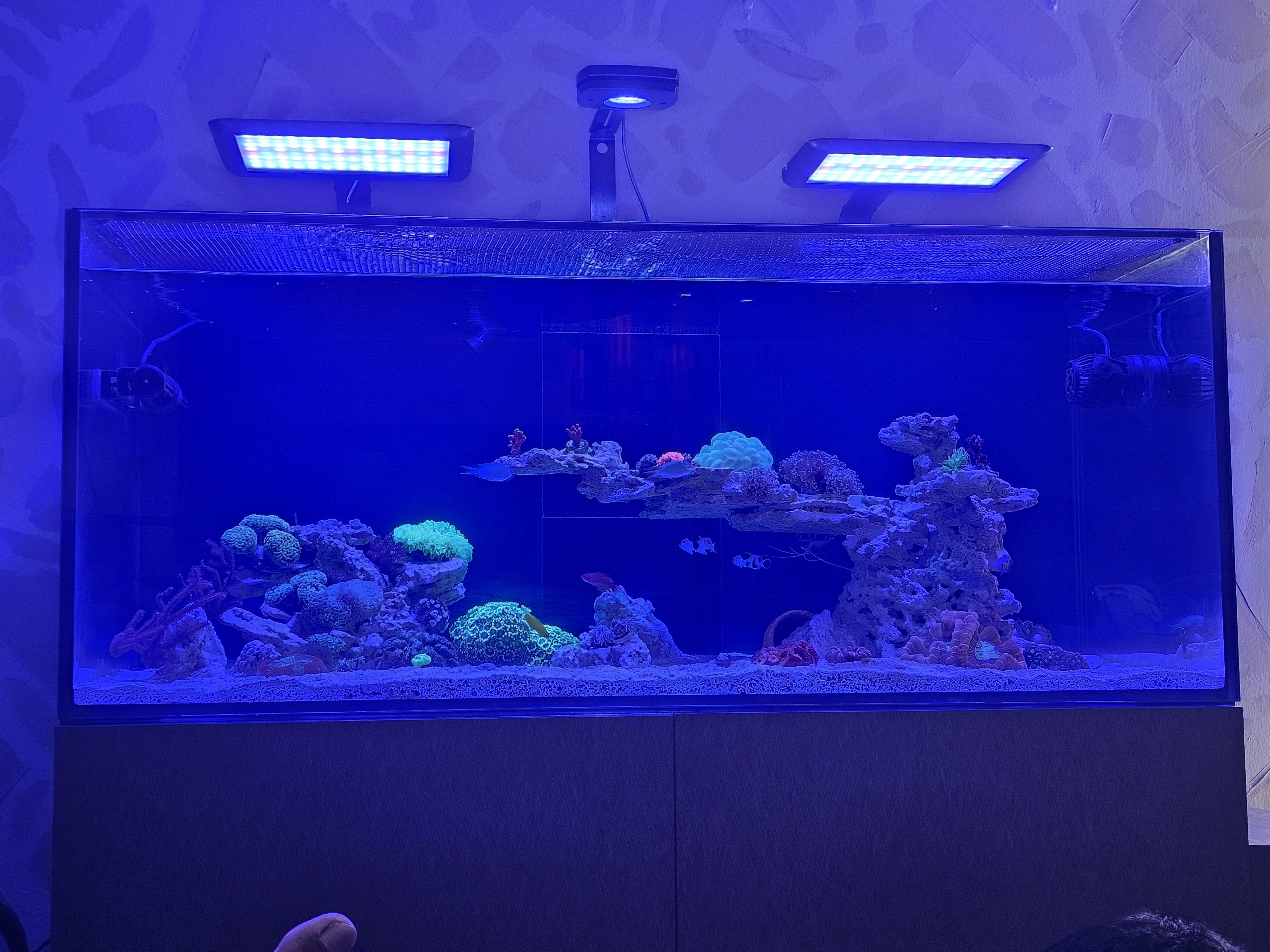 Tank Image