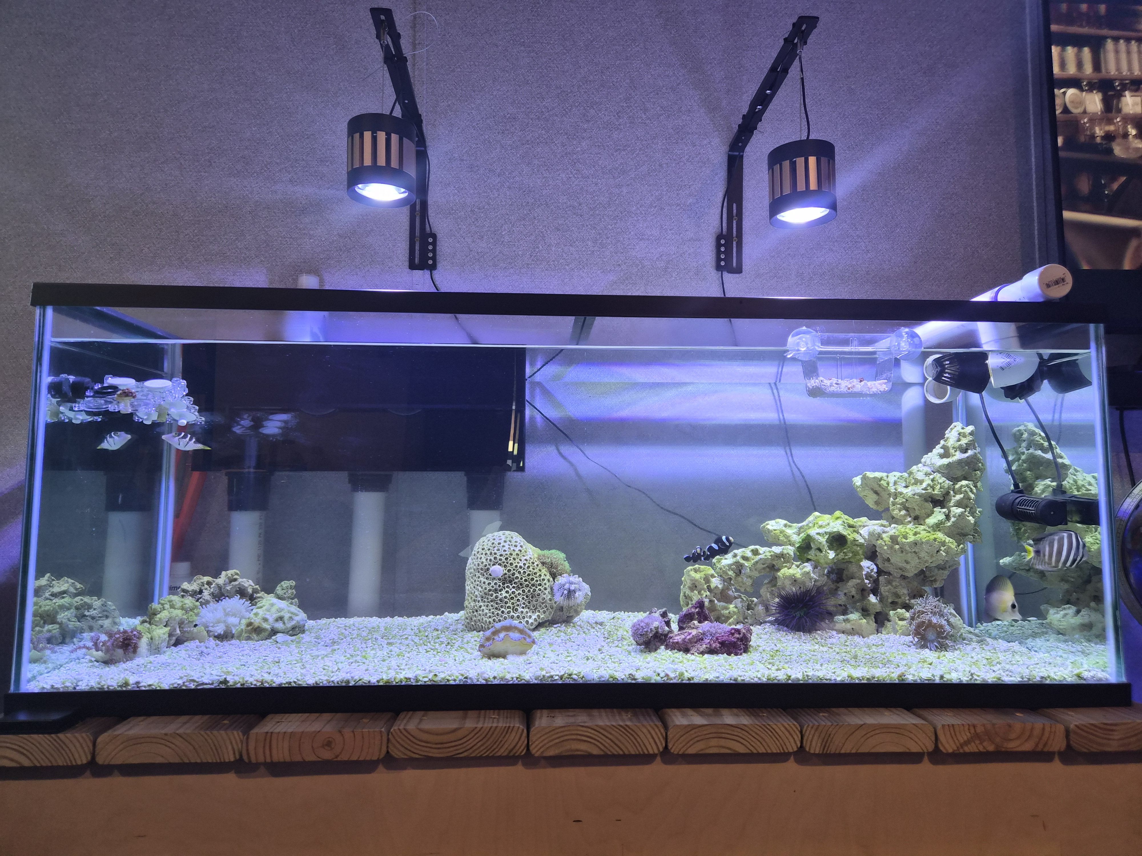 Tank Image