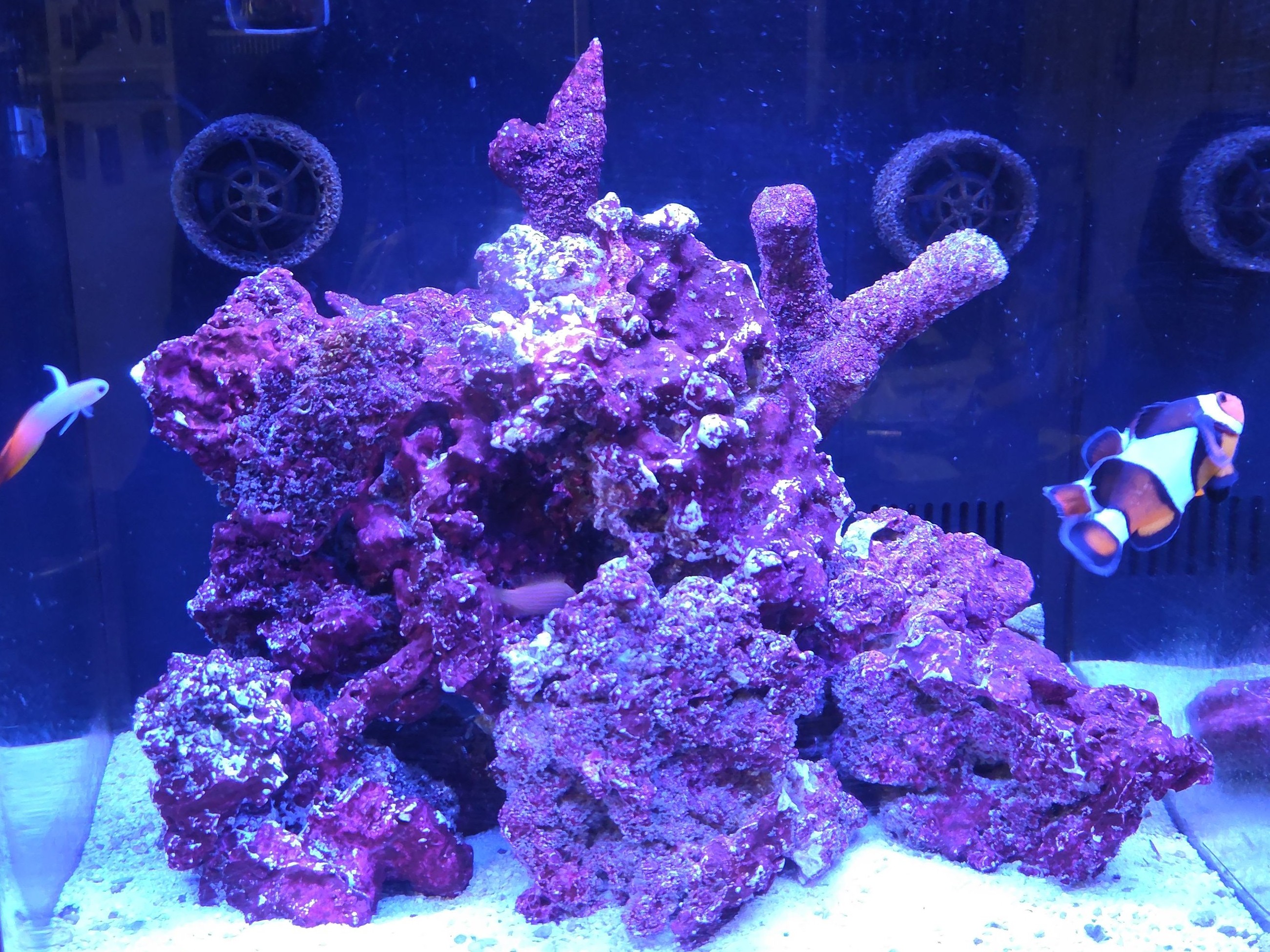 Tank Image