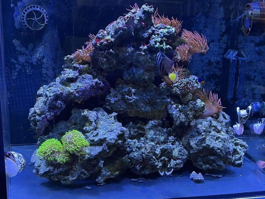 Tank Image