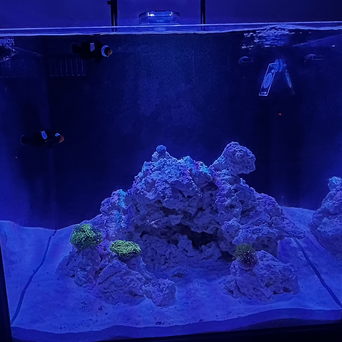 Tank Image