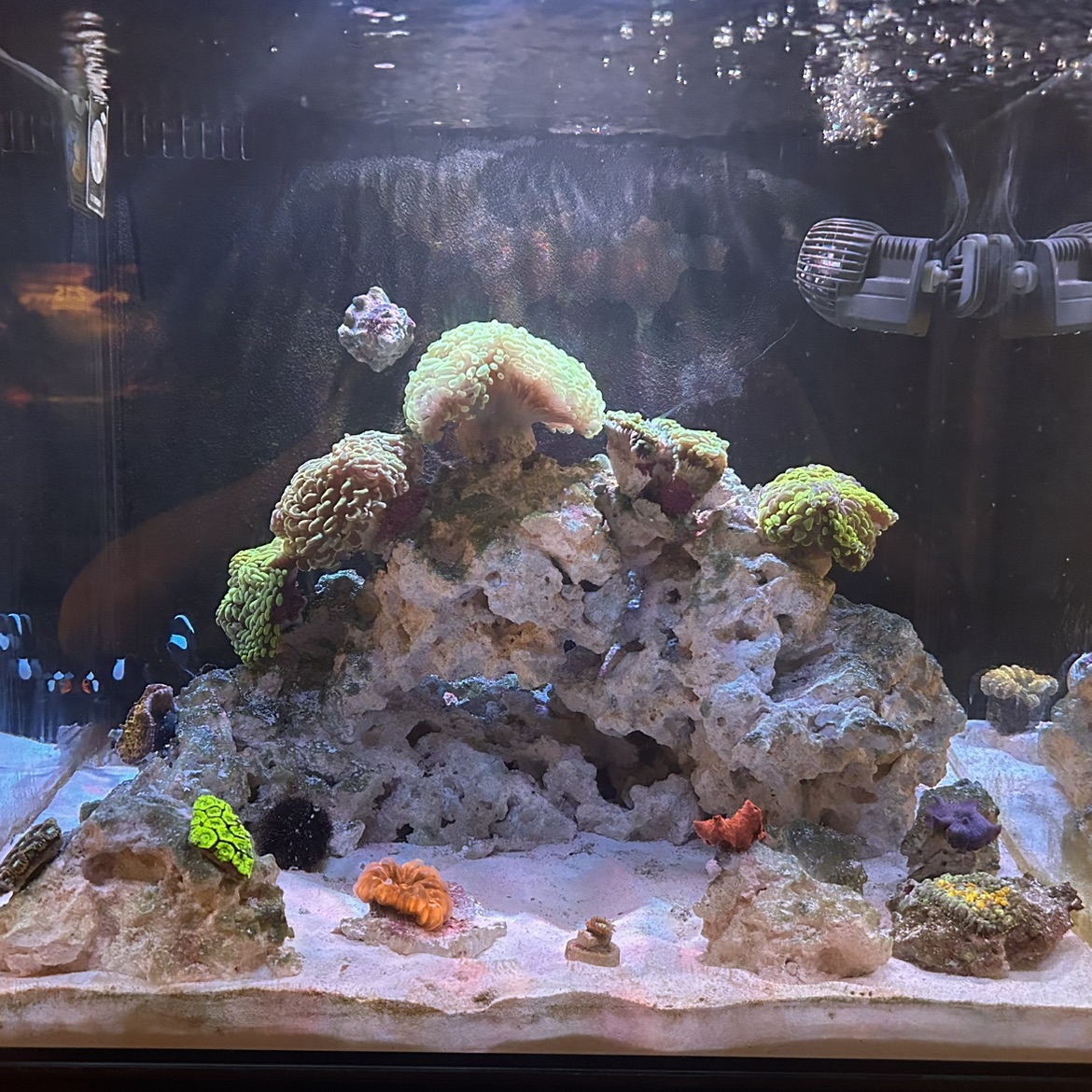 Tank Image