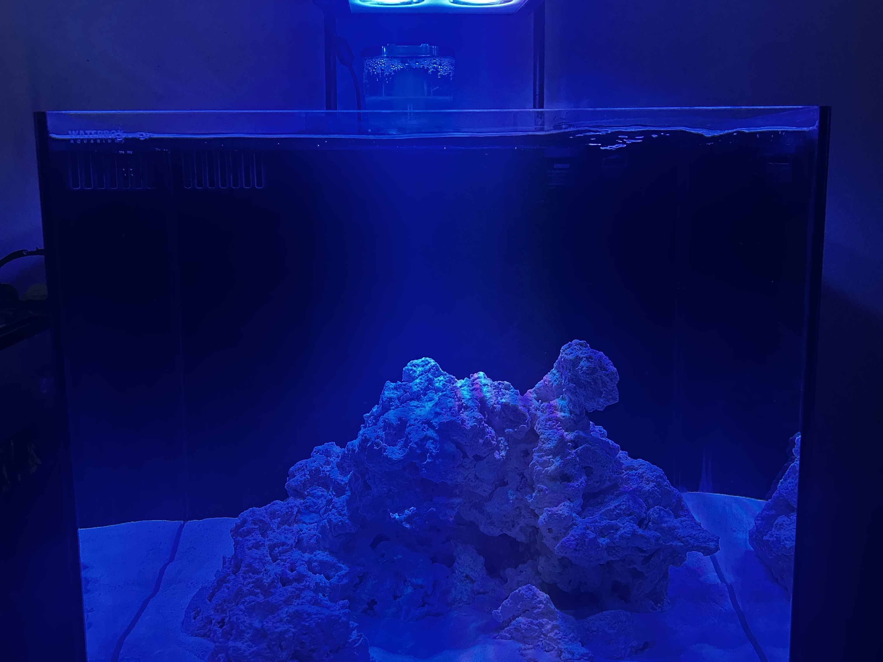 Tank Image