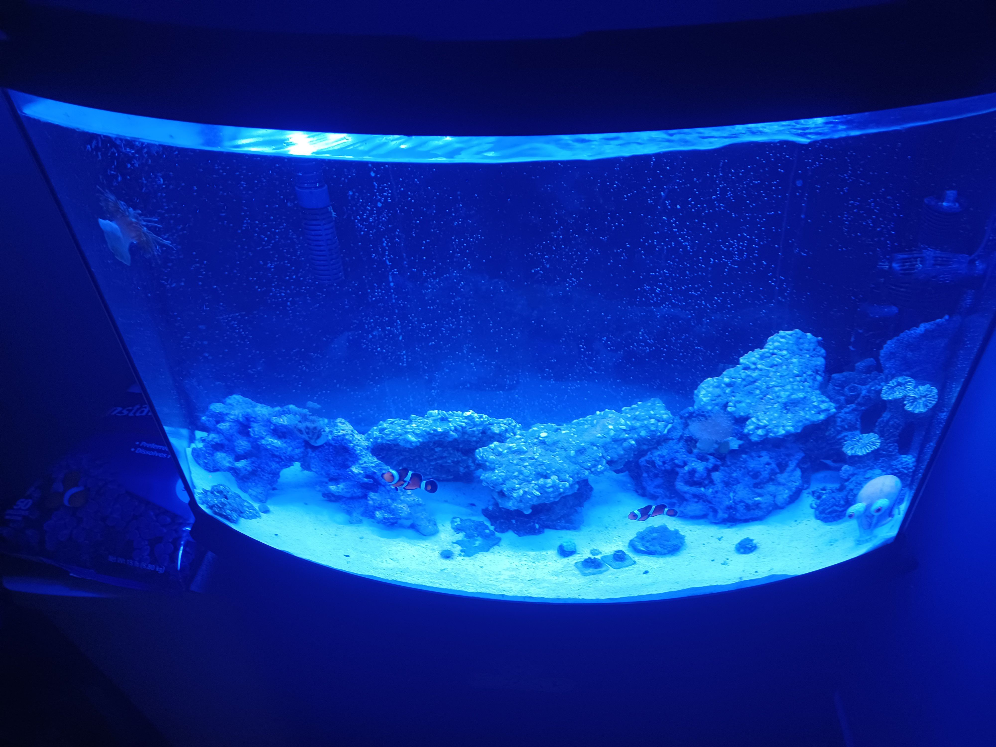 Tank Image