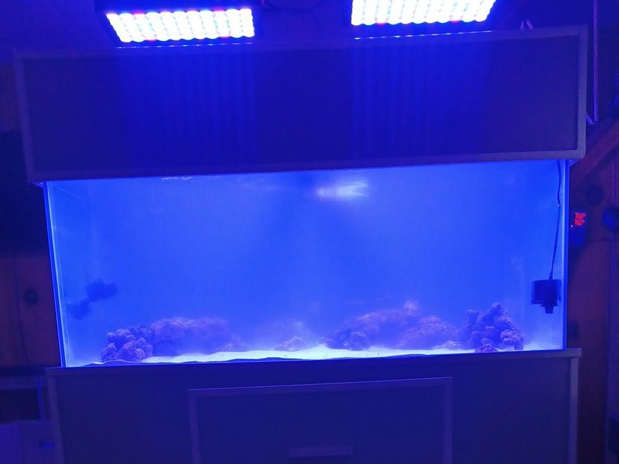 Tank Image