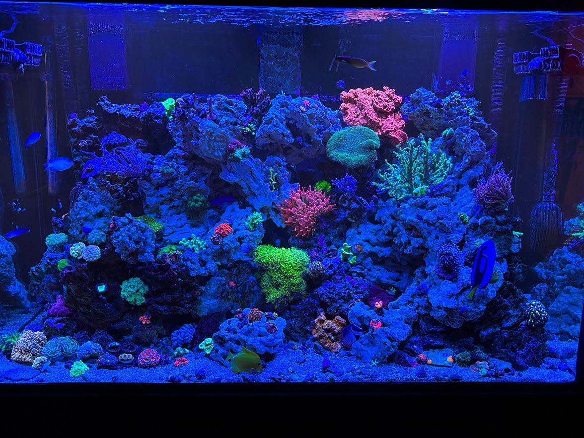 Tank Image