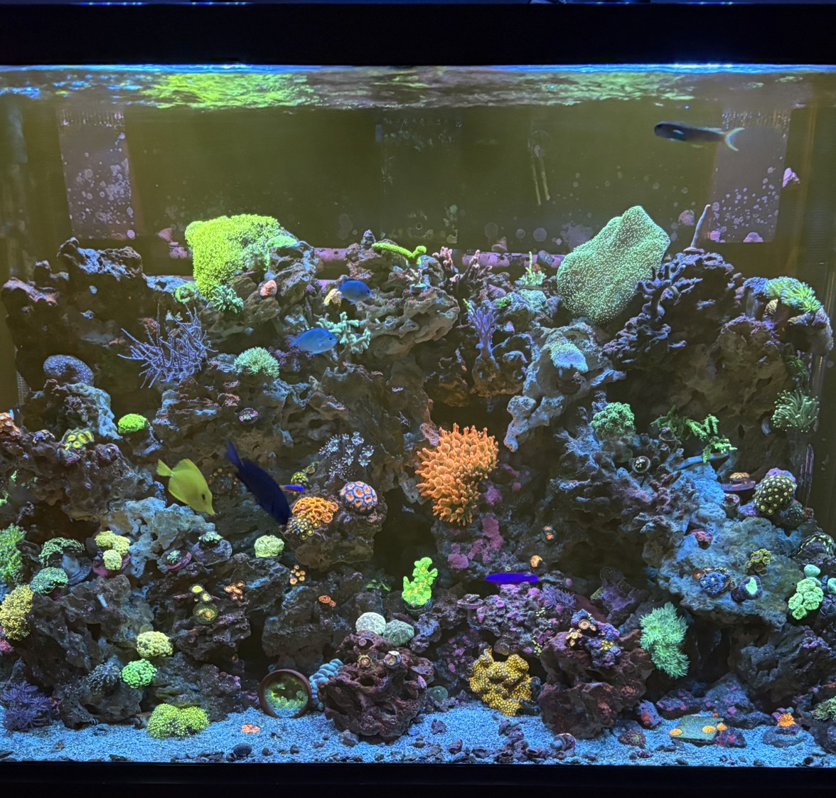 Tank Image