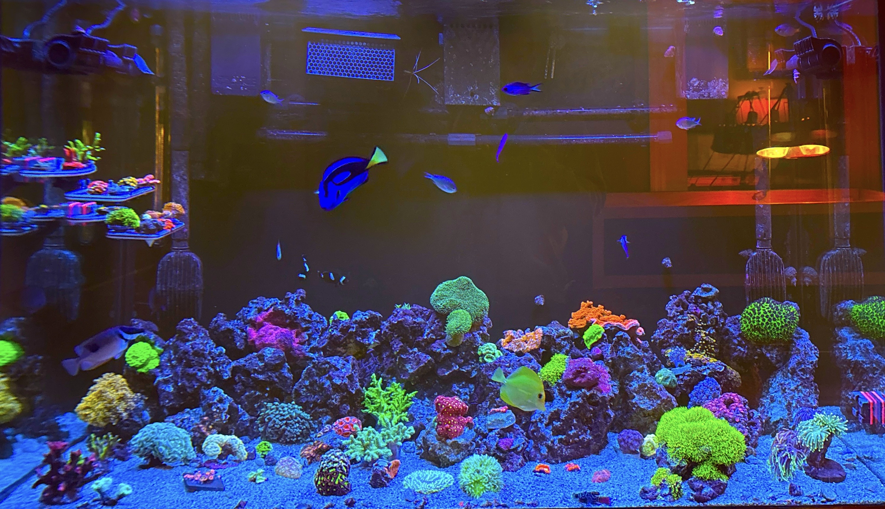 Tank Image