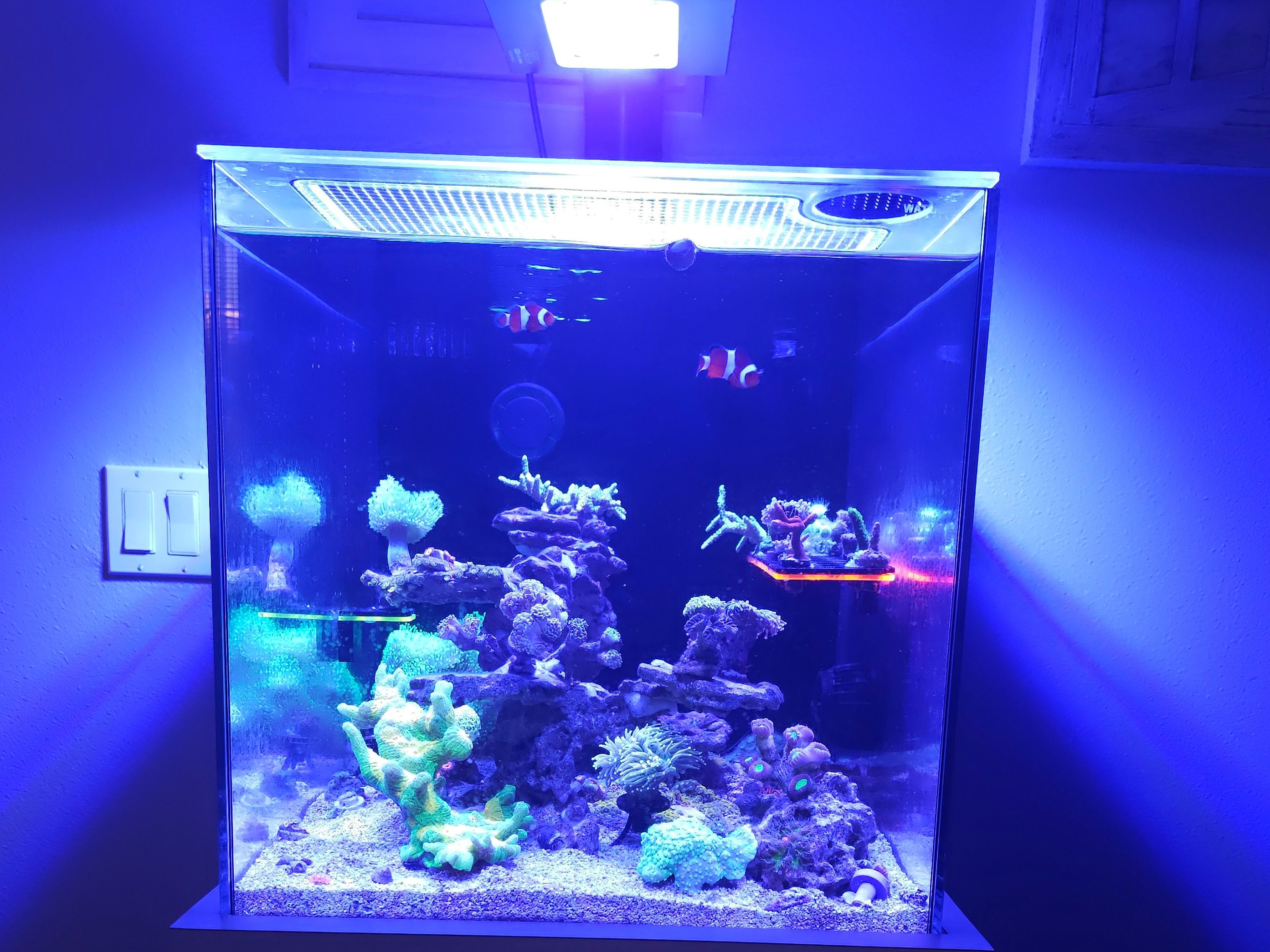 Tank Image