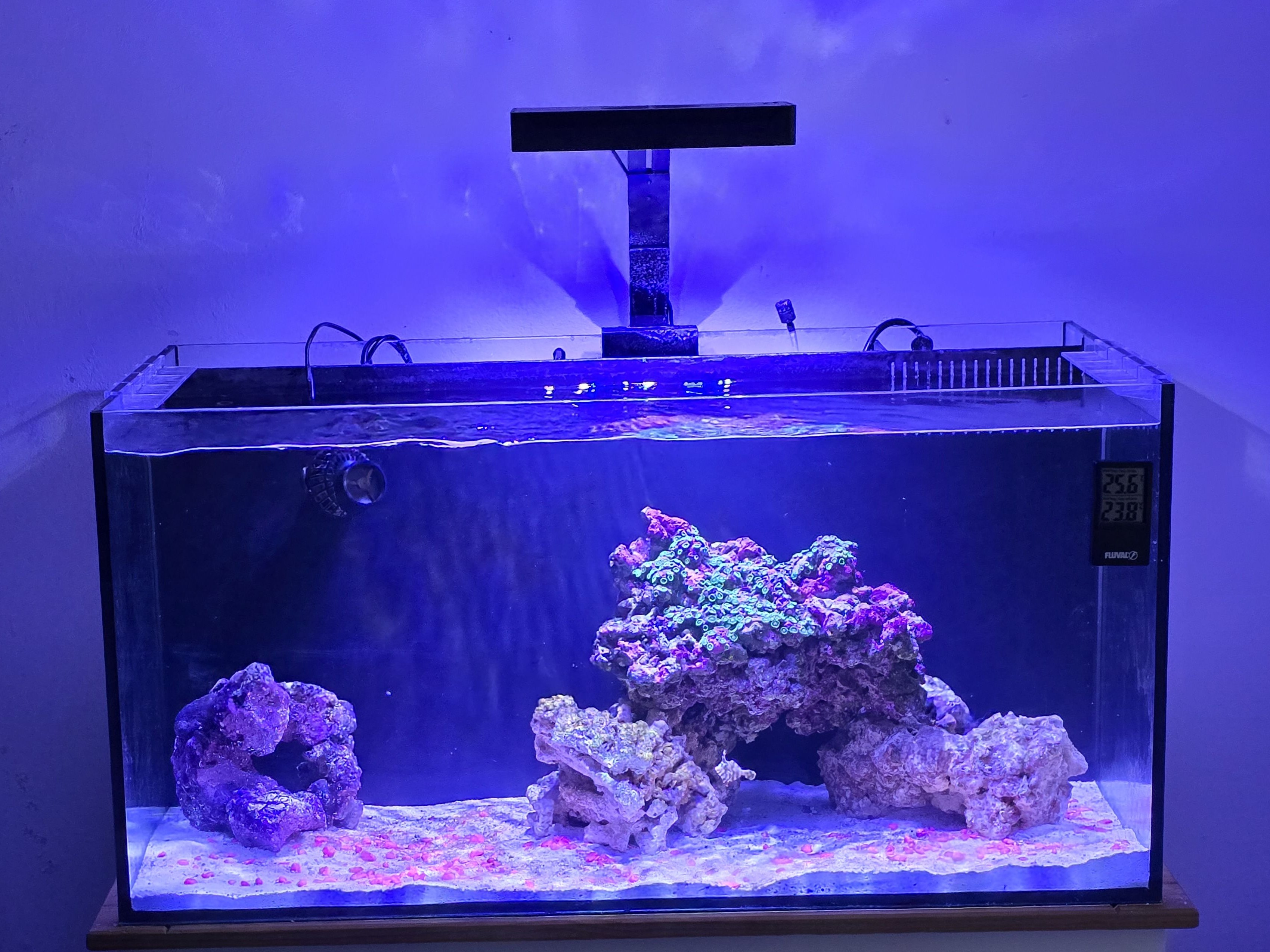 Tank Image