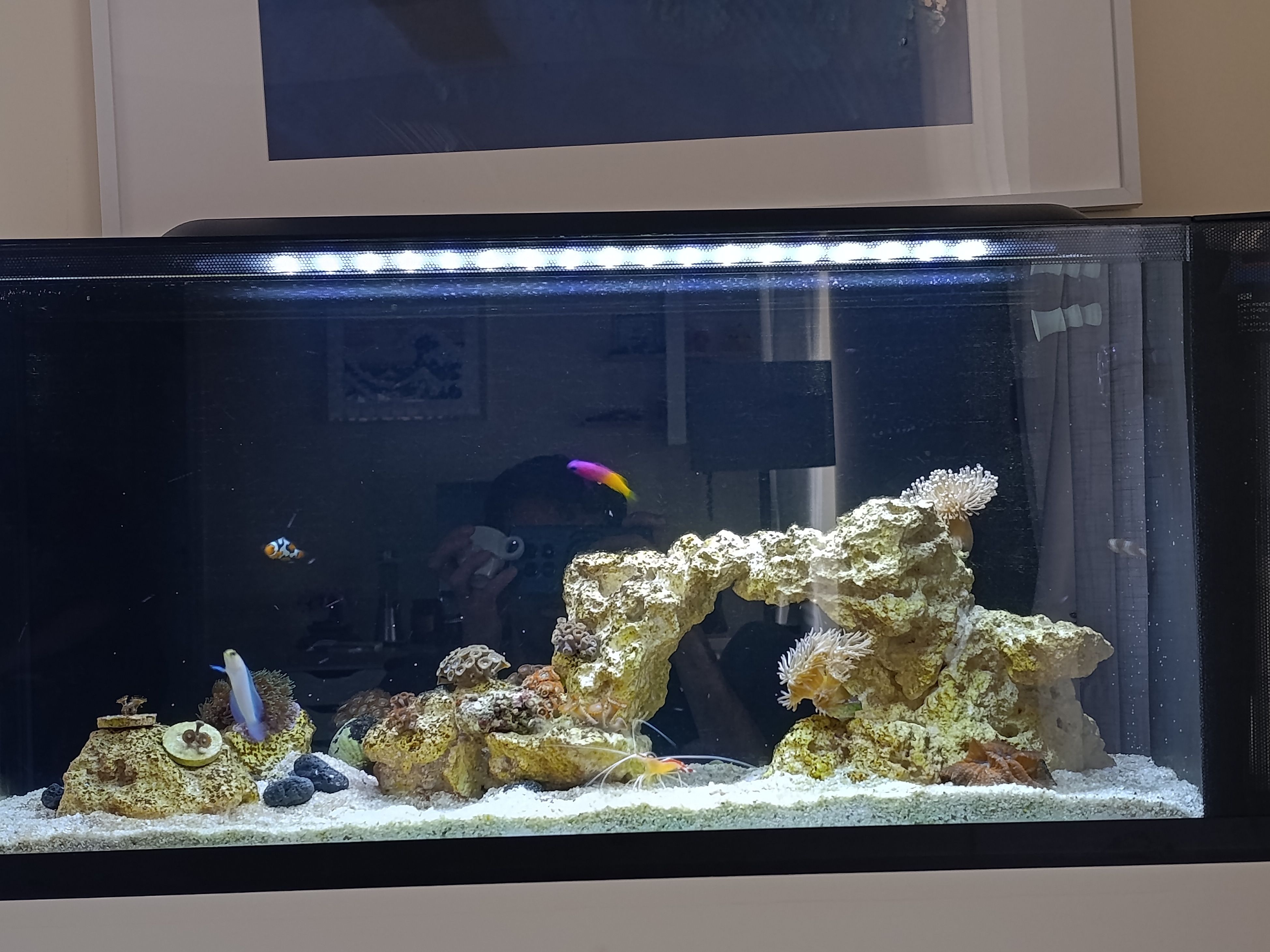 Tank Image