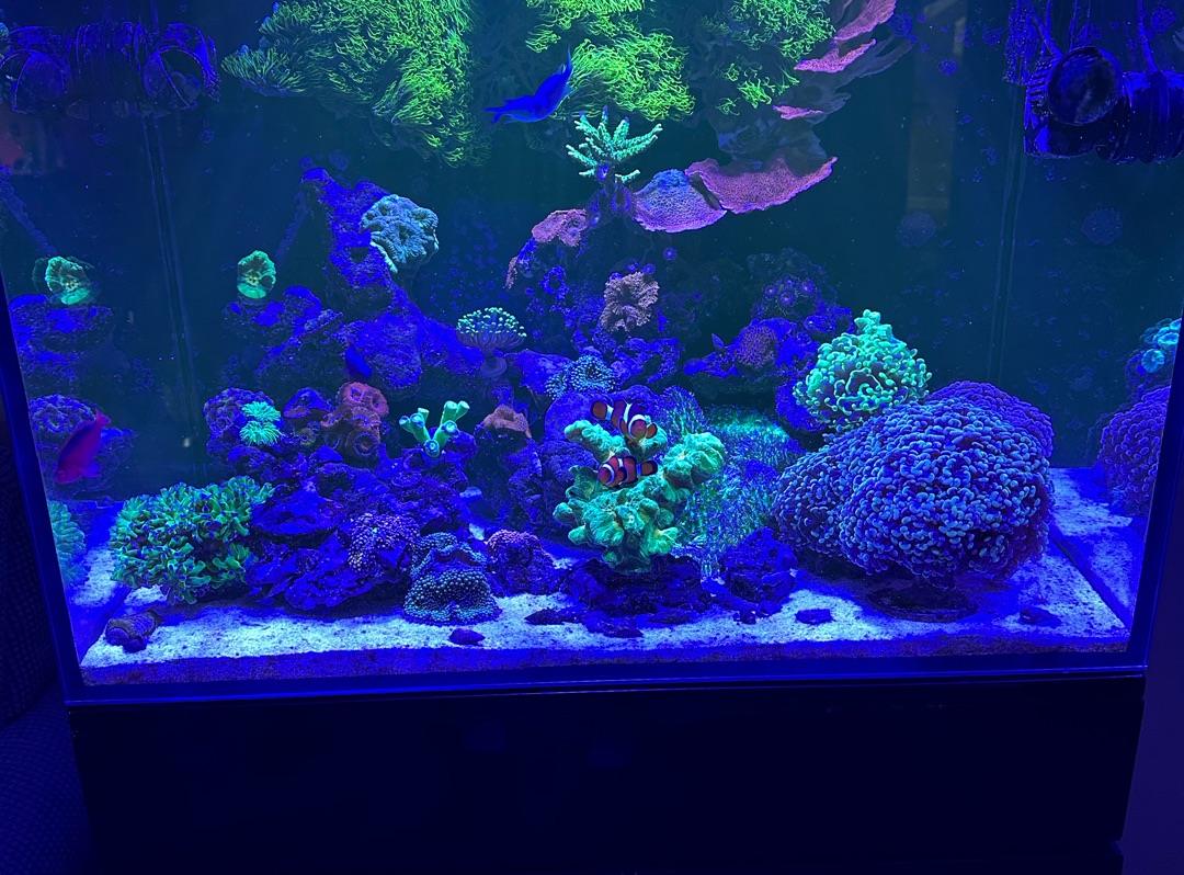 Tank Image
