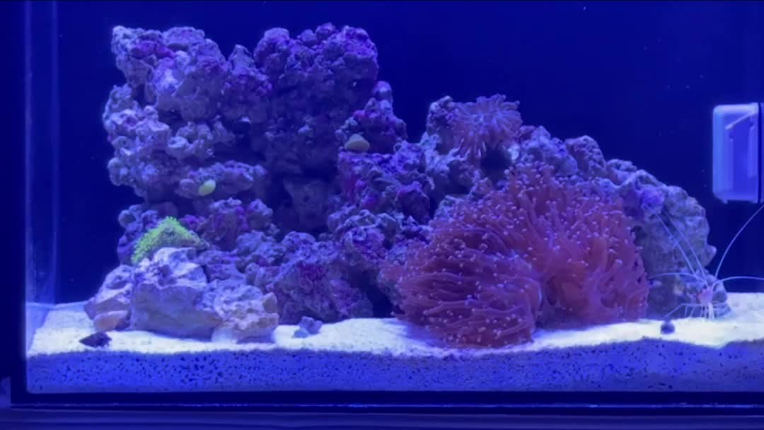 ReefBay Post